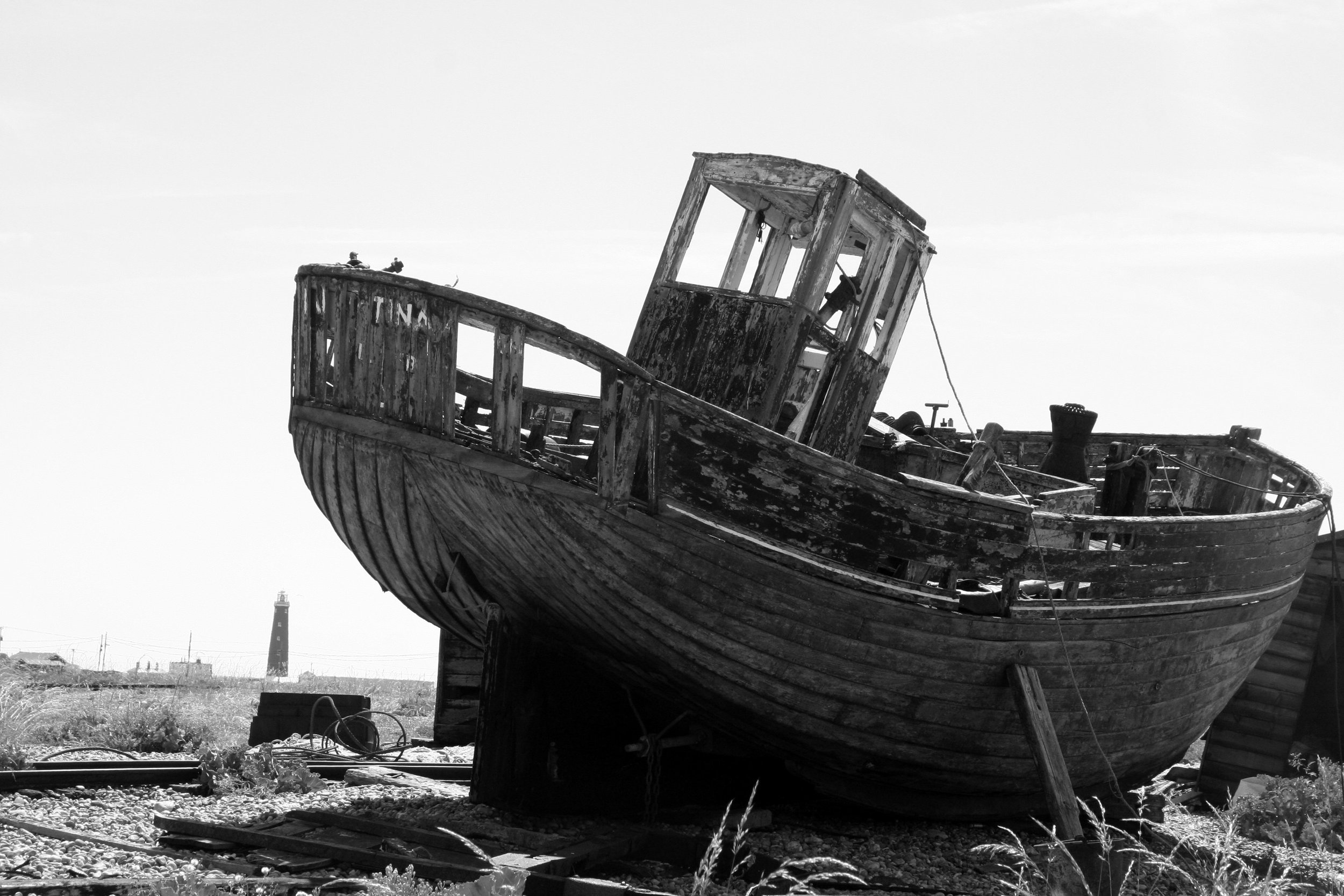 14) DUNGENESS