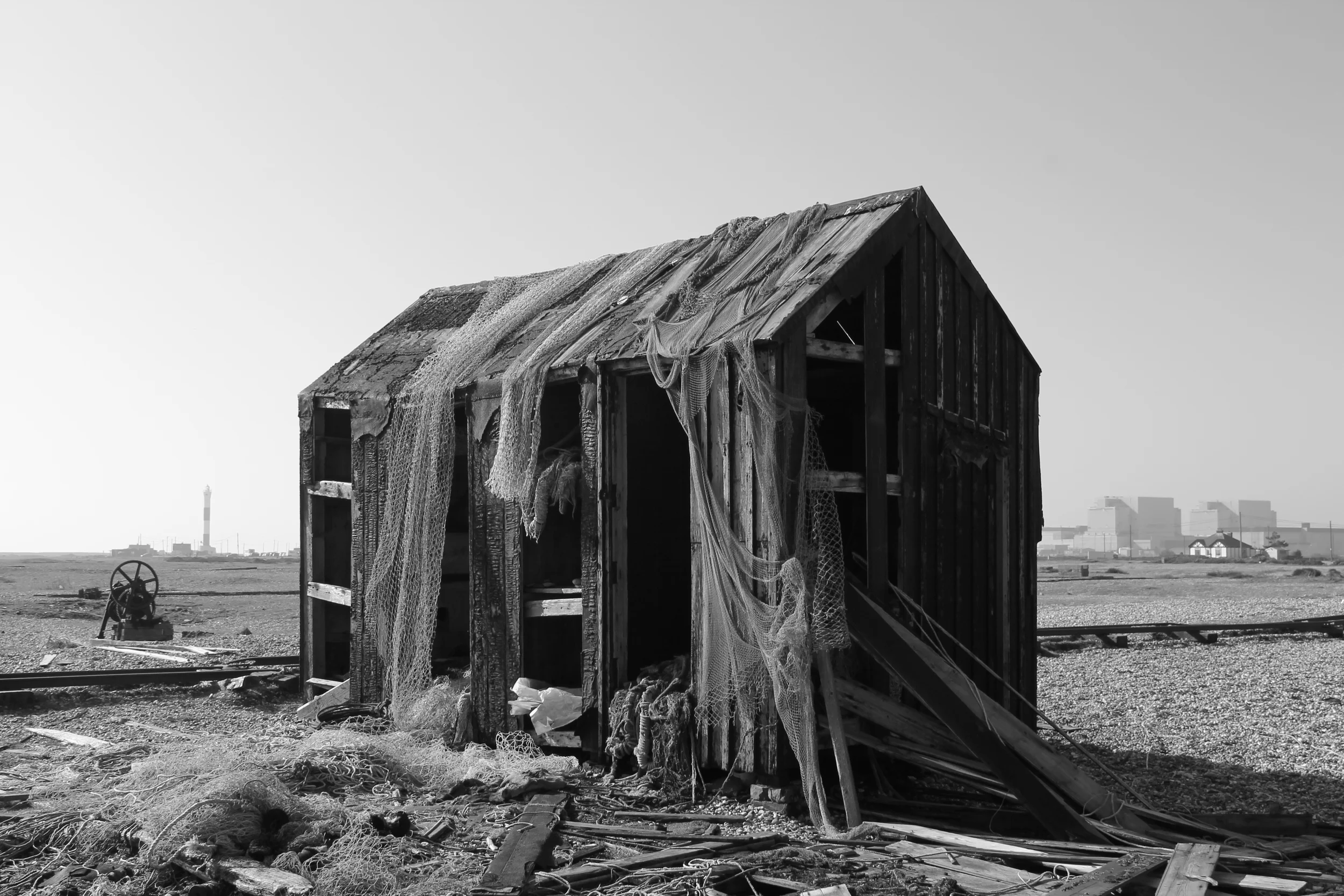 6) DUNGENESS