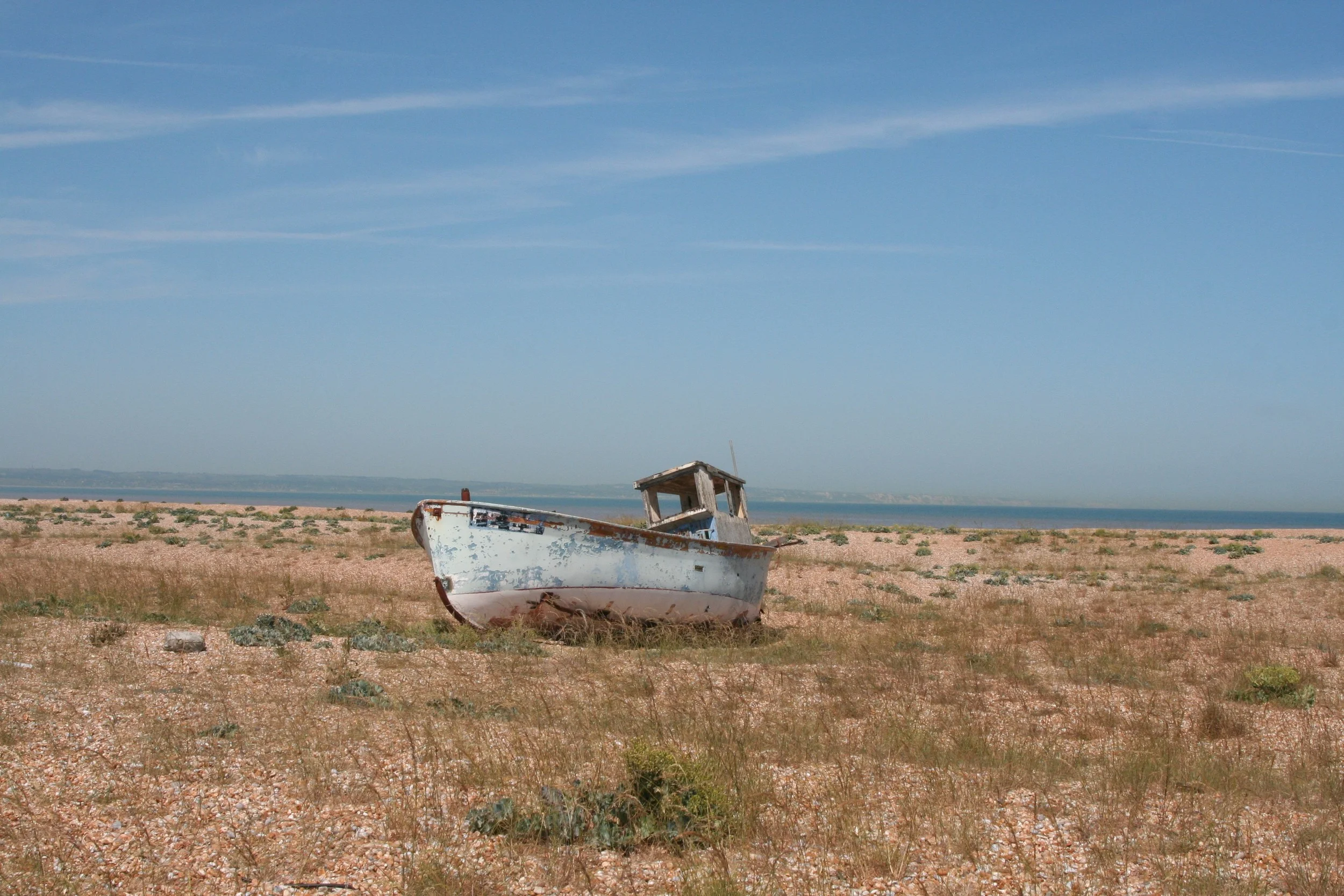 19) DUNGENESS
