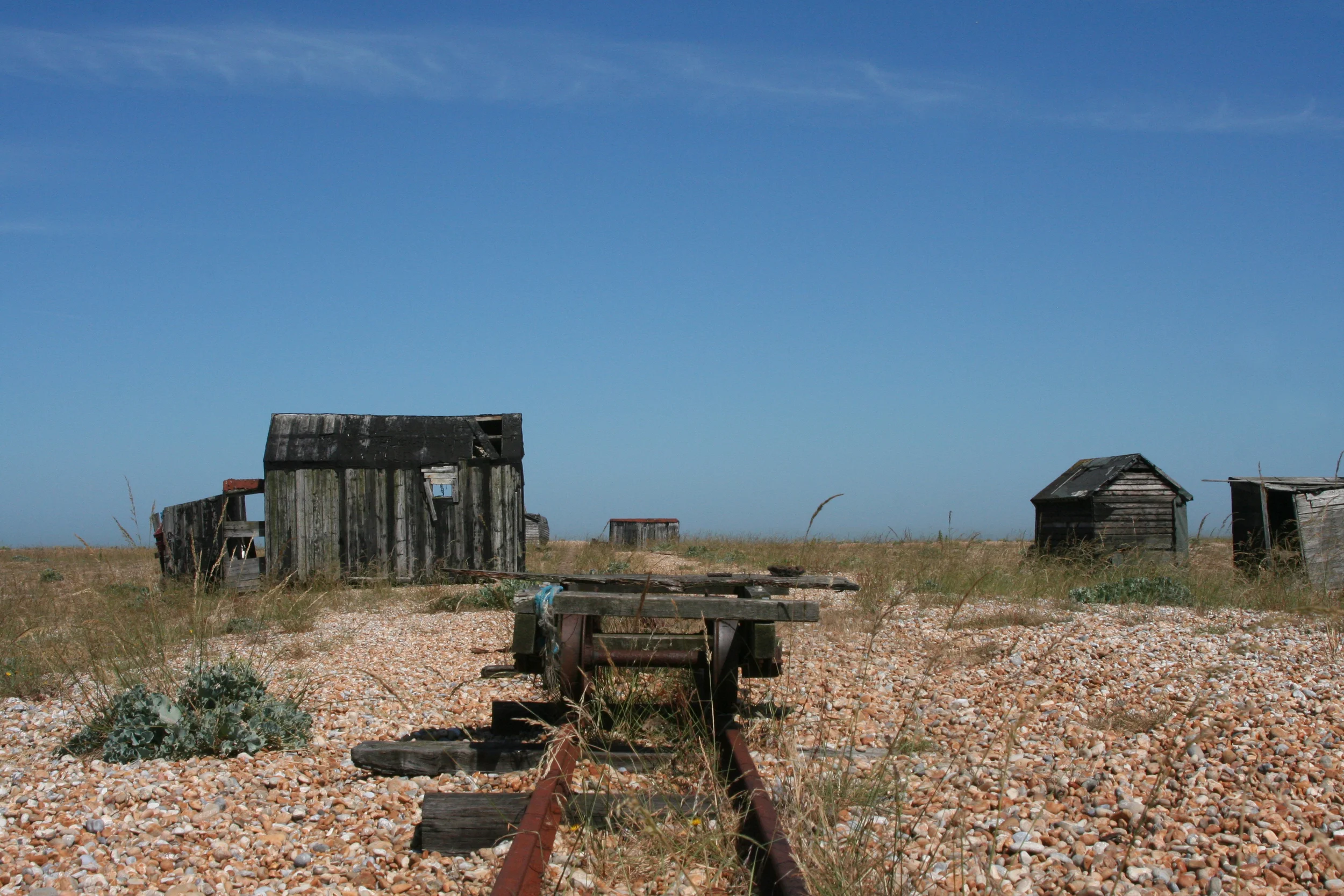 20) DUNGENESS
