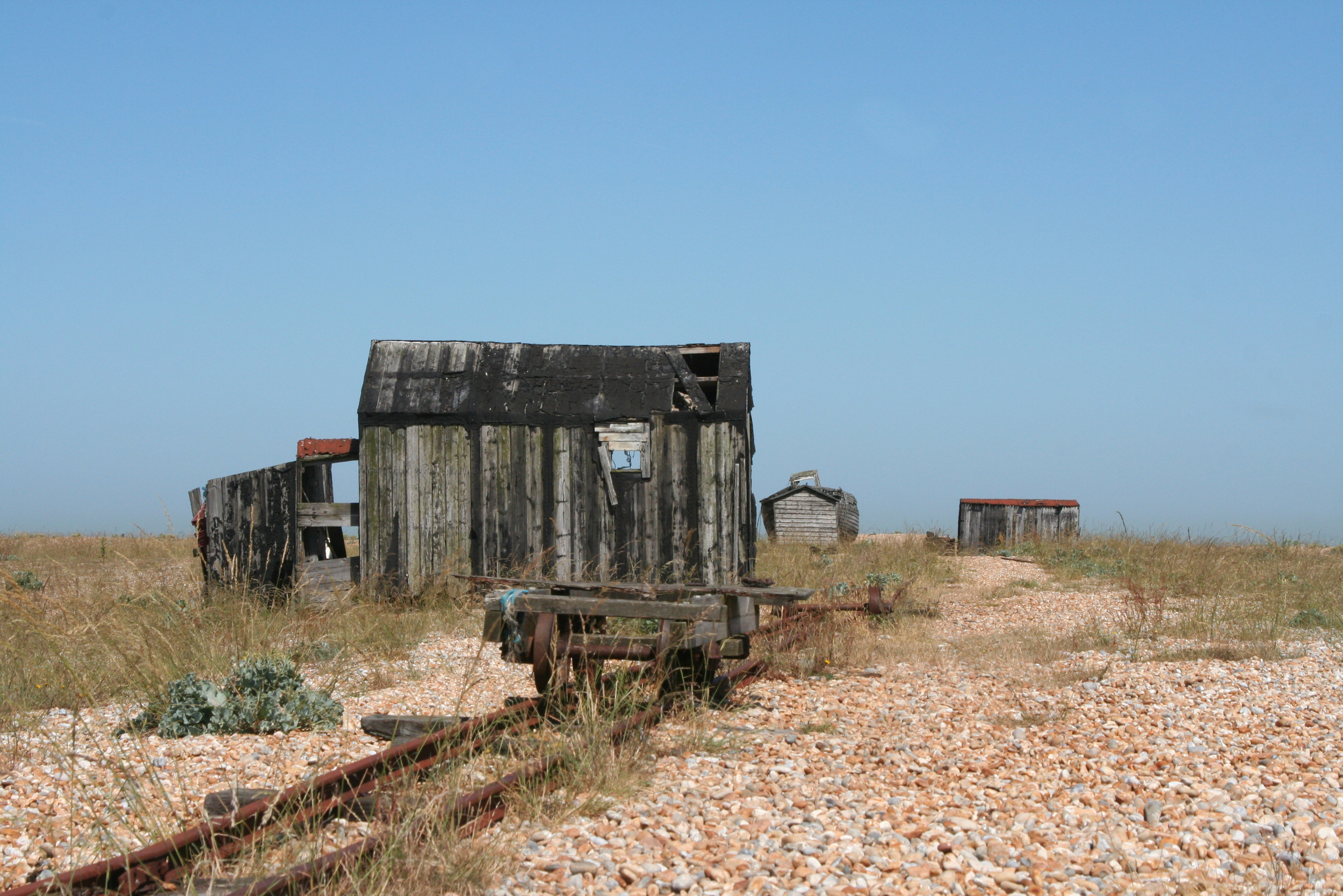 21) DUNGENESS