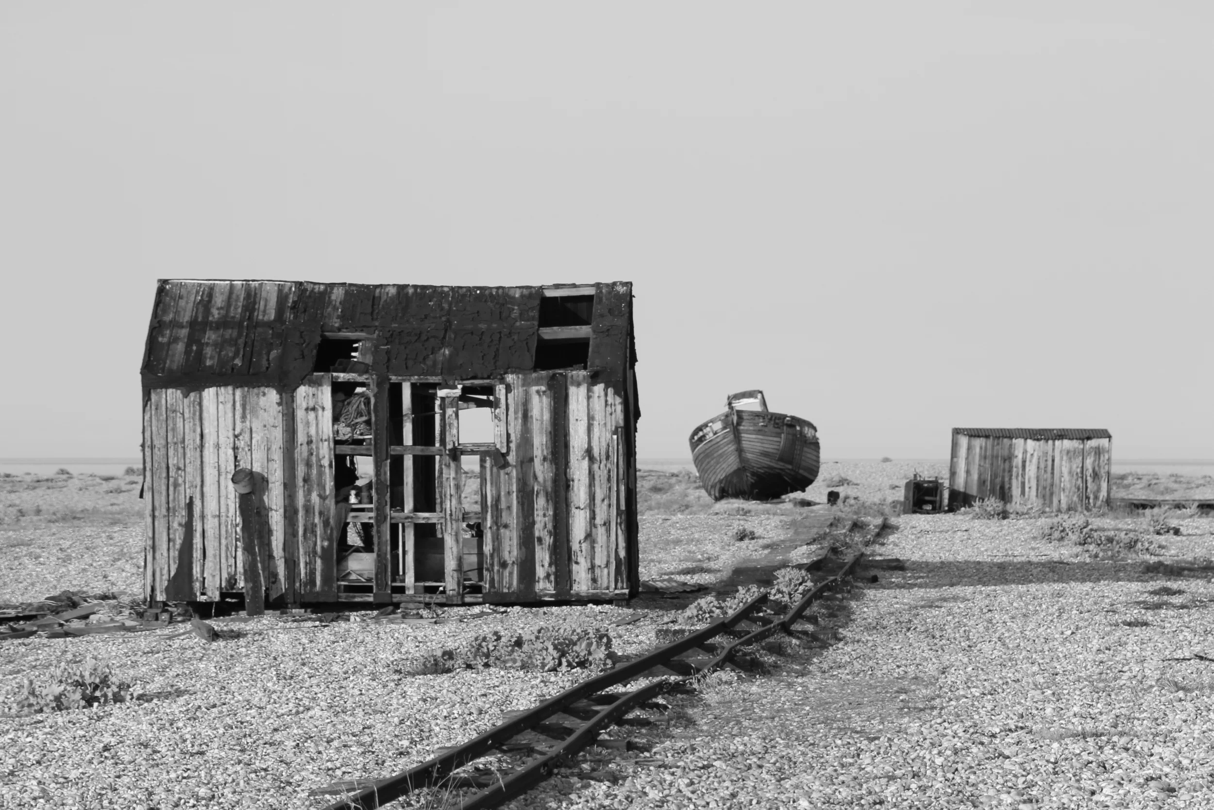 22) DUNGENESS