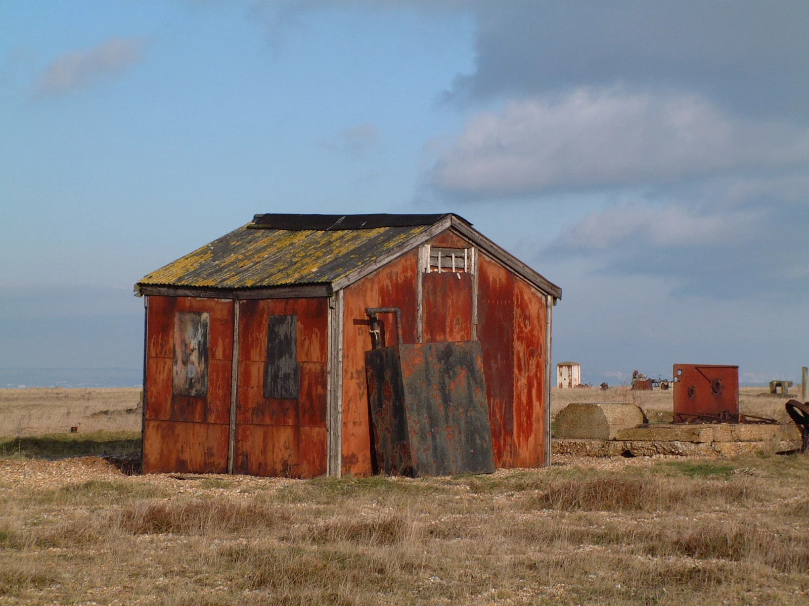 23) DUNGENESS