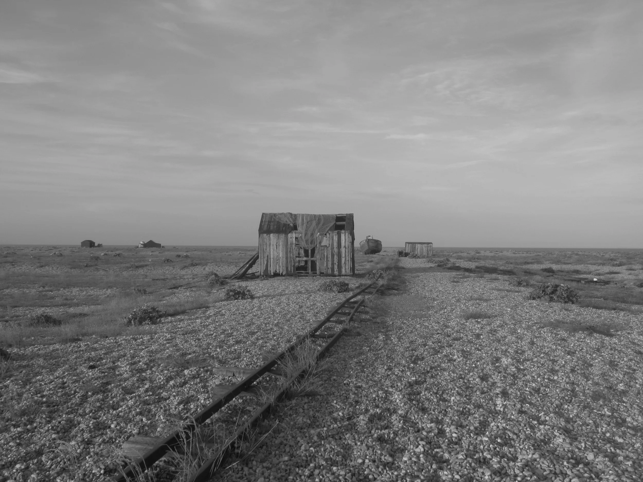 33) DUNGENESS