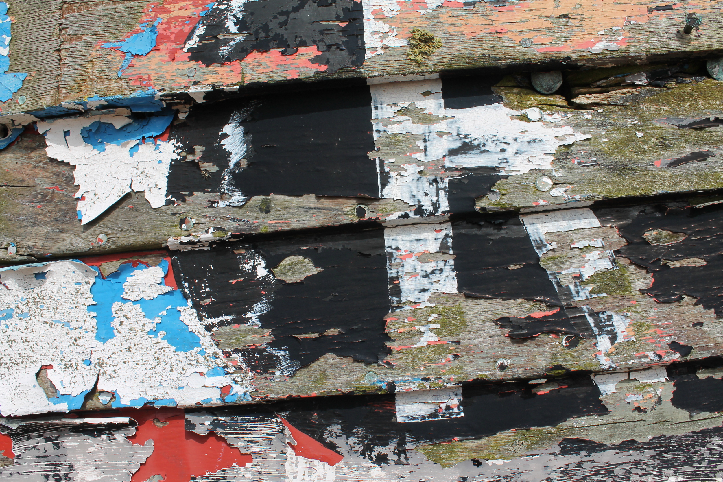 52) DECAYING BOAT DUNGENESS