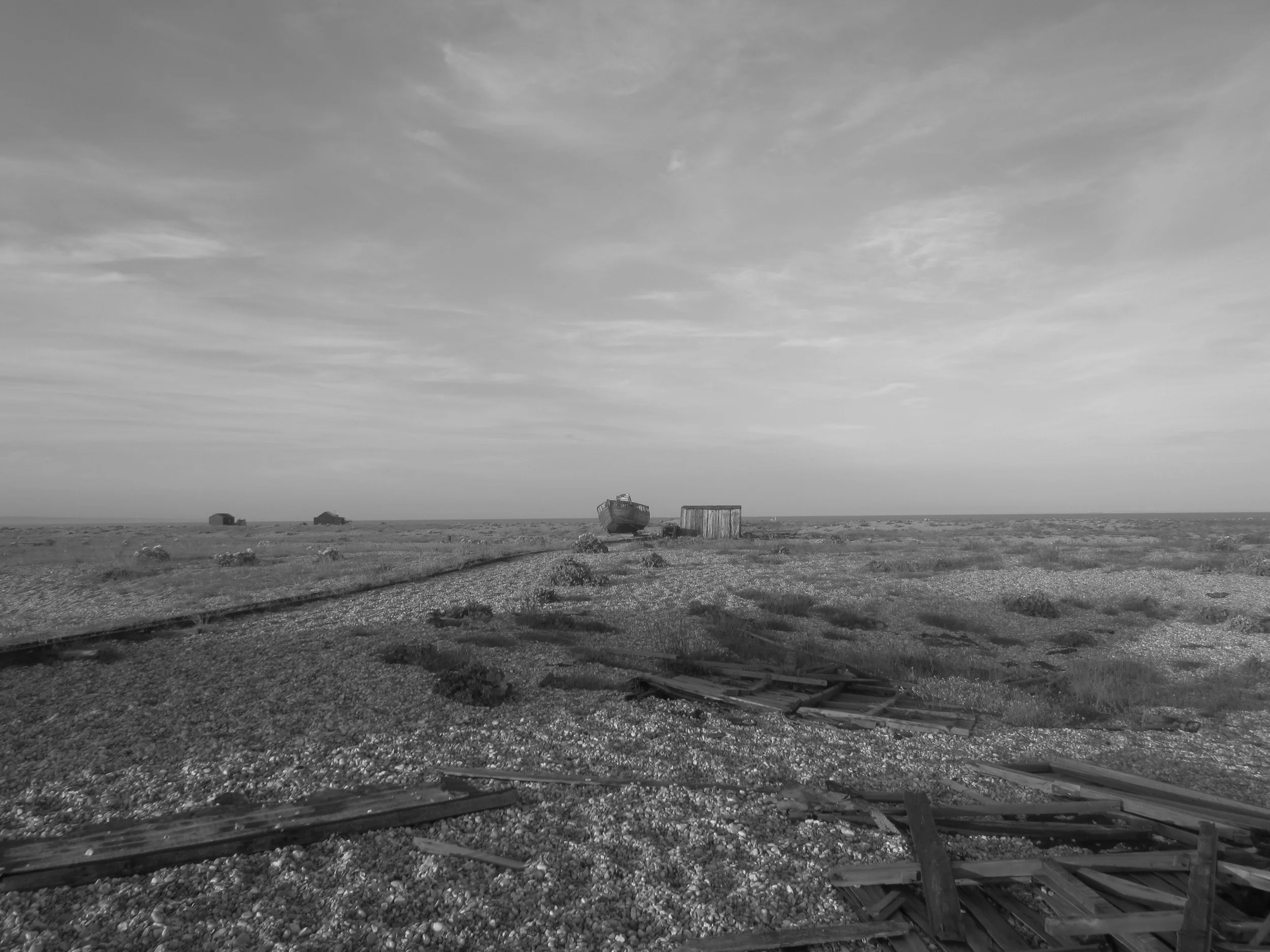 97.JPG