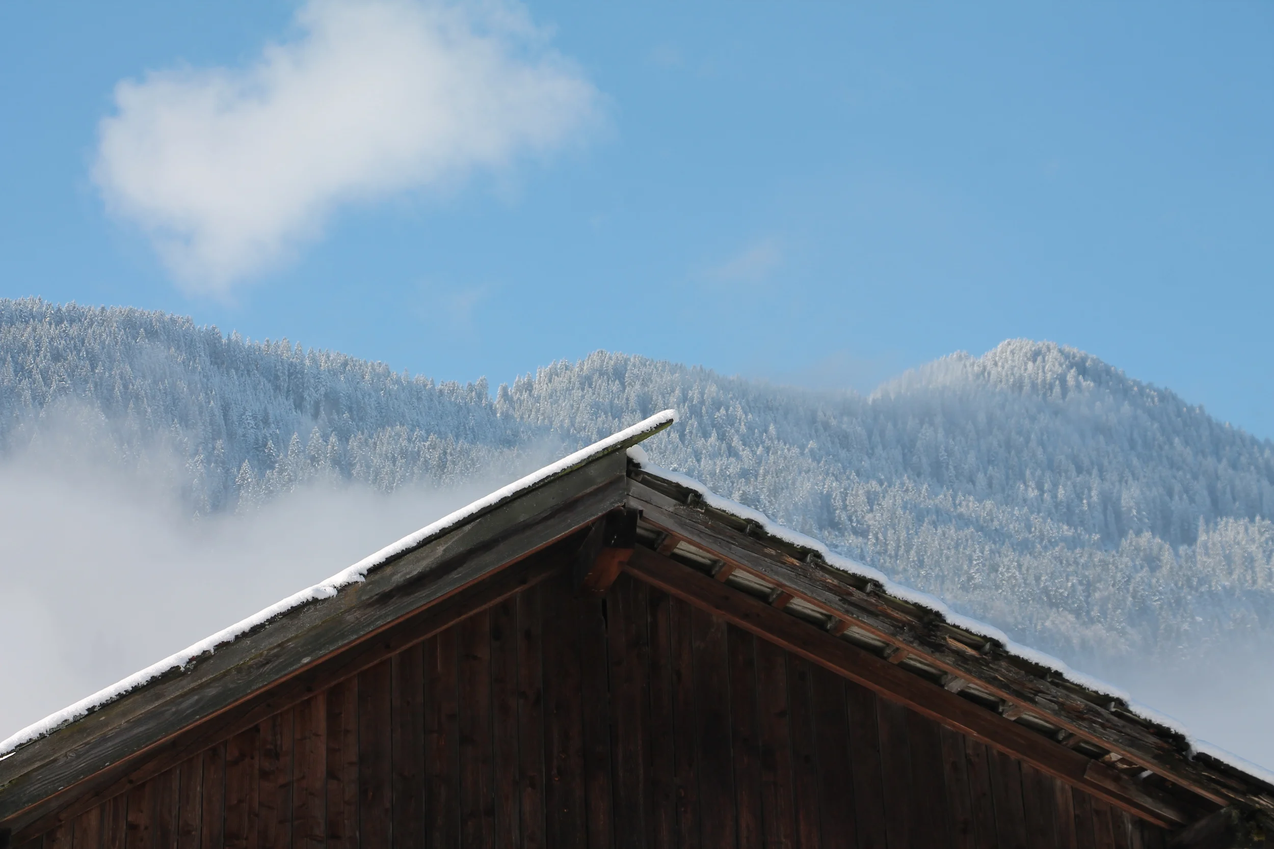 Winter in Reith