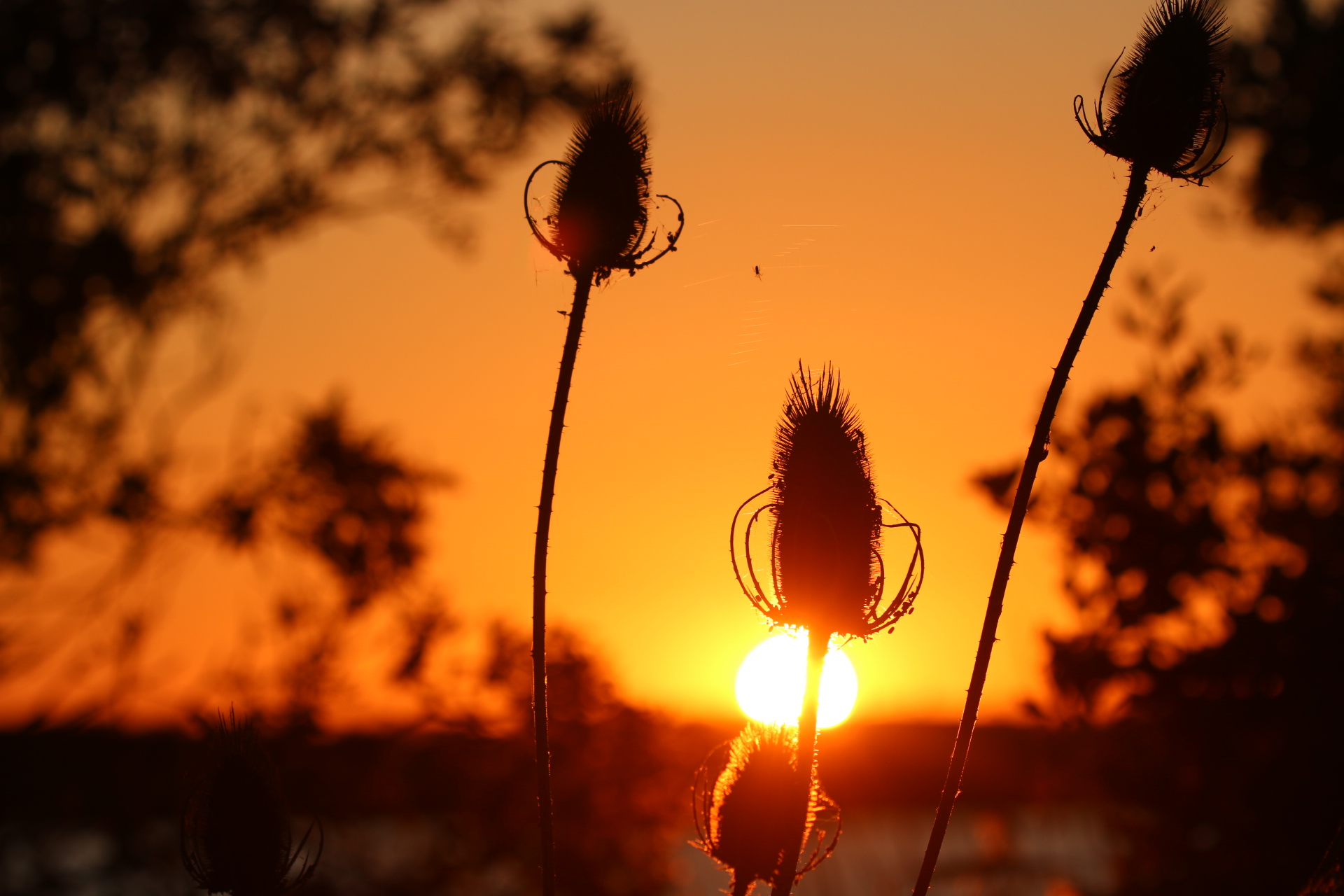 F7585936-D887-4DFD-A652-7E40B132C775.jpeg