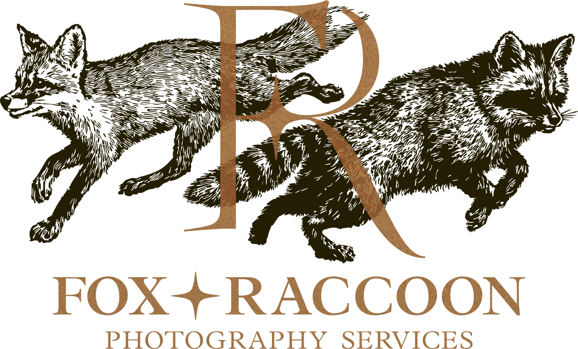 Fox &amp; Raccoon