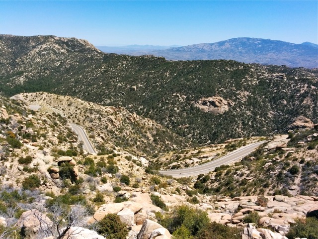 Mt. Lemmon