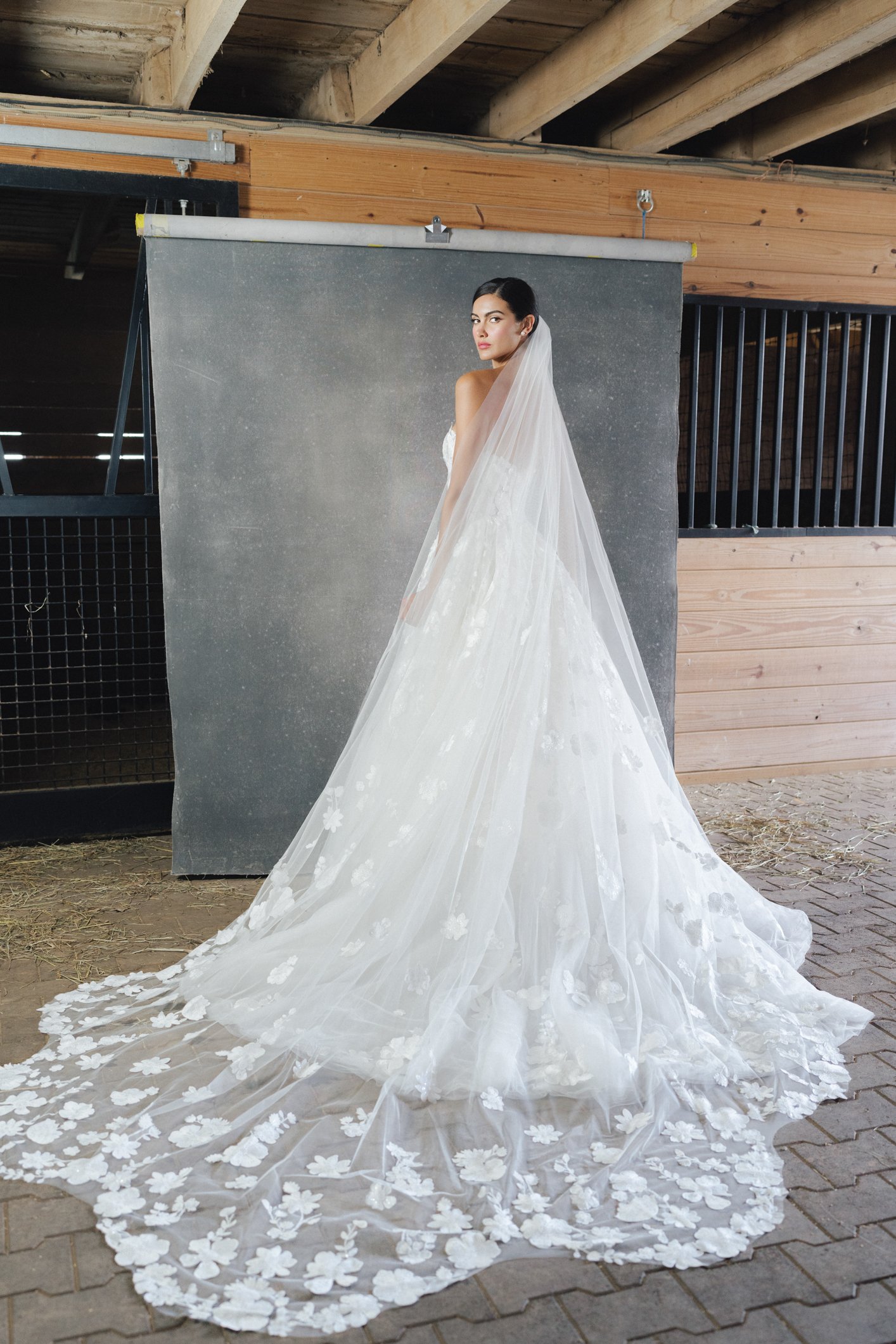 Berkshire-veil-anne-barge-fall-2023-wedding-dress.jpg