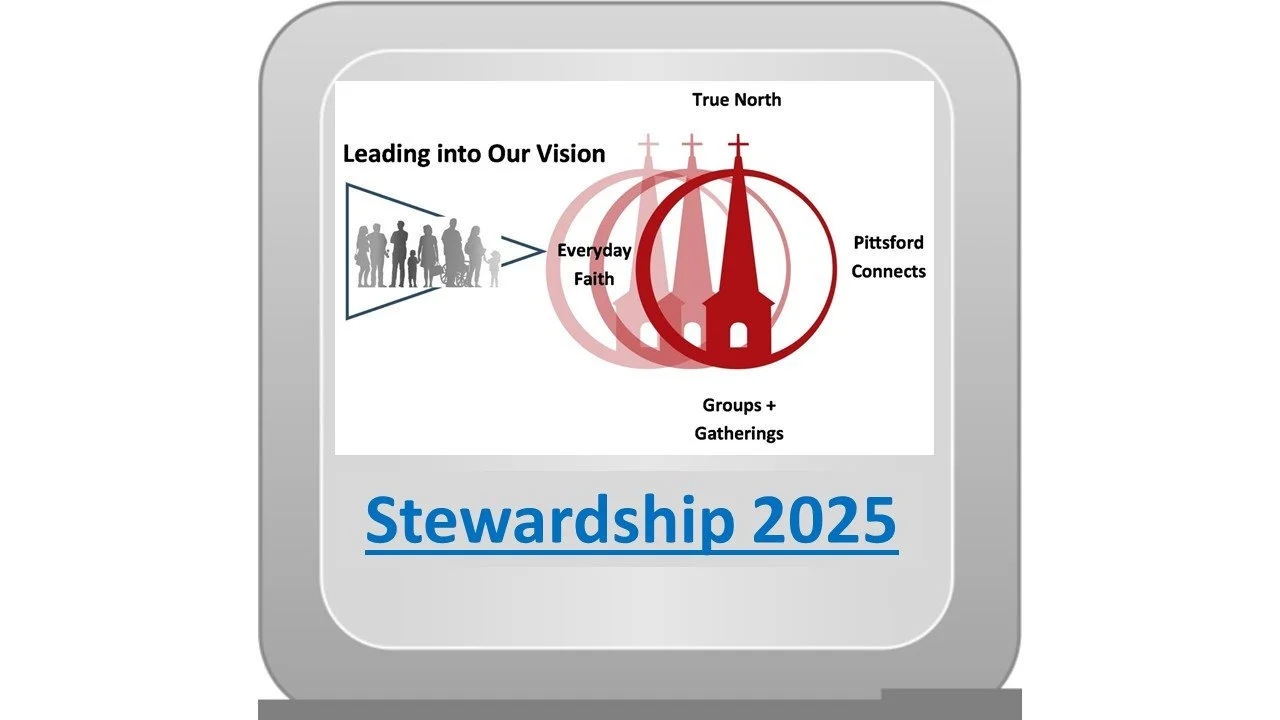 Stewardship 2025 Button.jpg