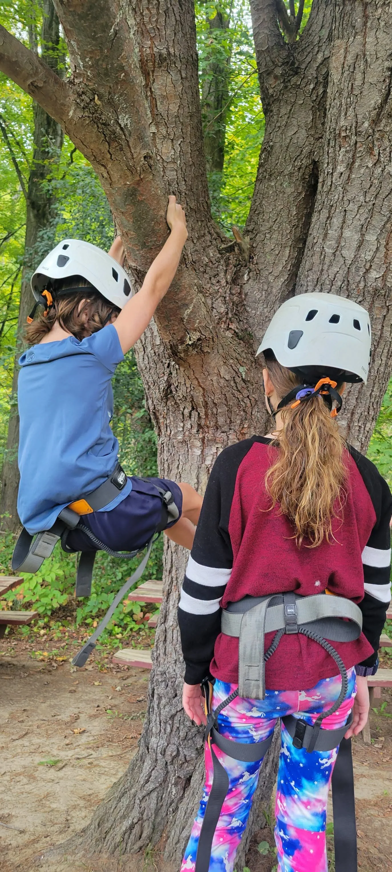 Church Youth Climbing Tree.jpeg