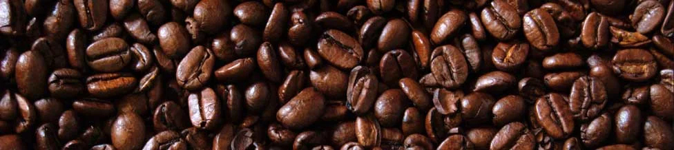beansbeans.jpg