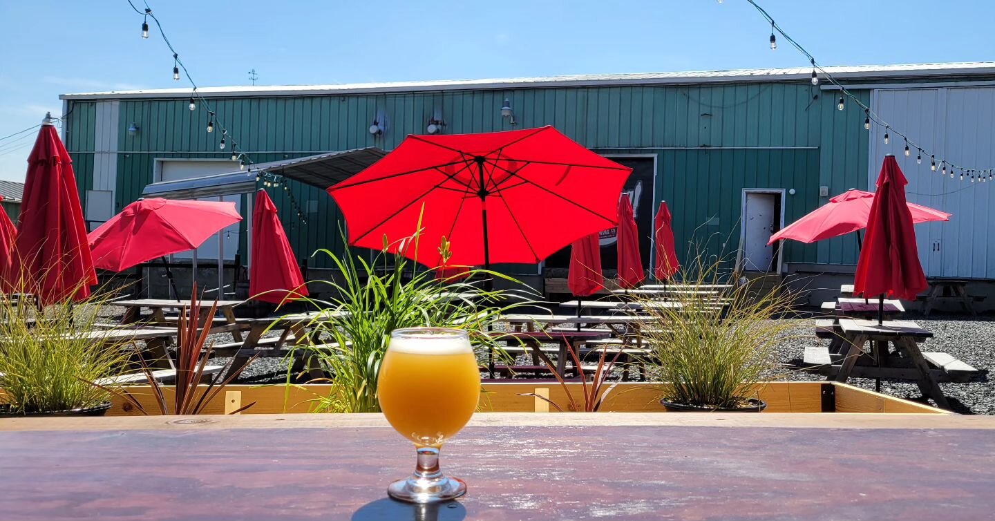 Baby Elephant IPA is a great beer to enjoy on a hot day in The Courtyard 🐘!

Here's the line up for the weekend:

⏰️ Friday 12-9pm, Saturday 12-9pm, and Sunday 12-6pm.

🍺 Courtyard Crusher Light Lager is back in cans and Bilou's Rush Saison is the 