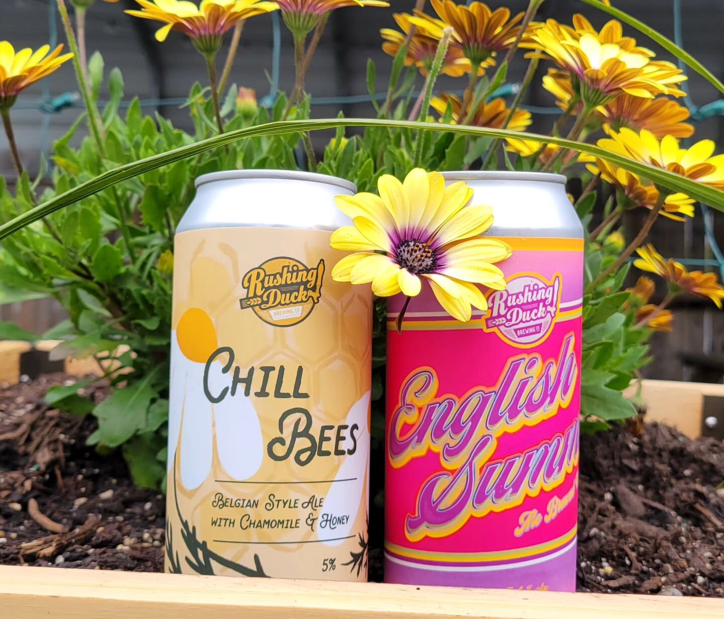 Happy Opening of the Doors! The Spring weather decided to be Spring weather, but we are still celebrating the beautiful weather to come.

New beers are out in cans and on tap:

☀️English Summer Ale 5%- A British Golden Ale with Lemon Zest is light an