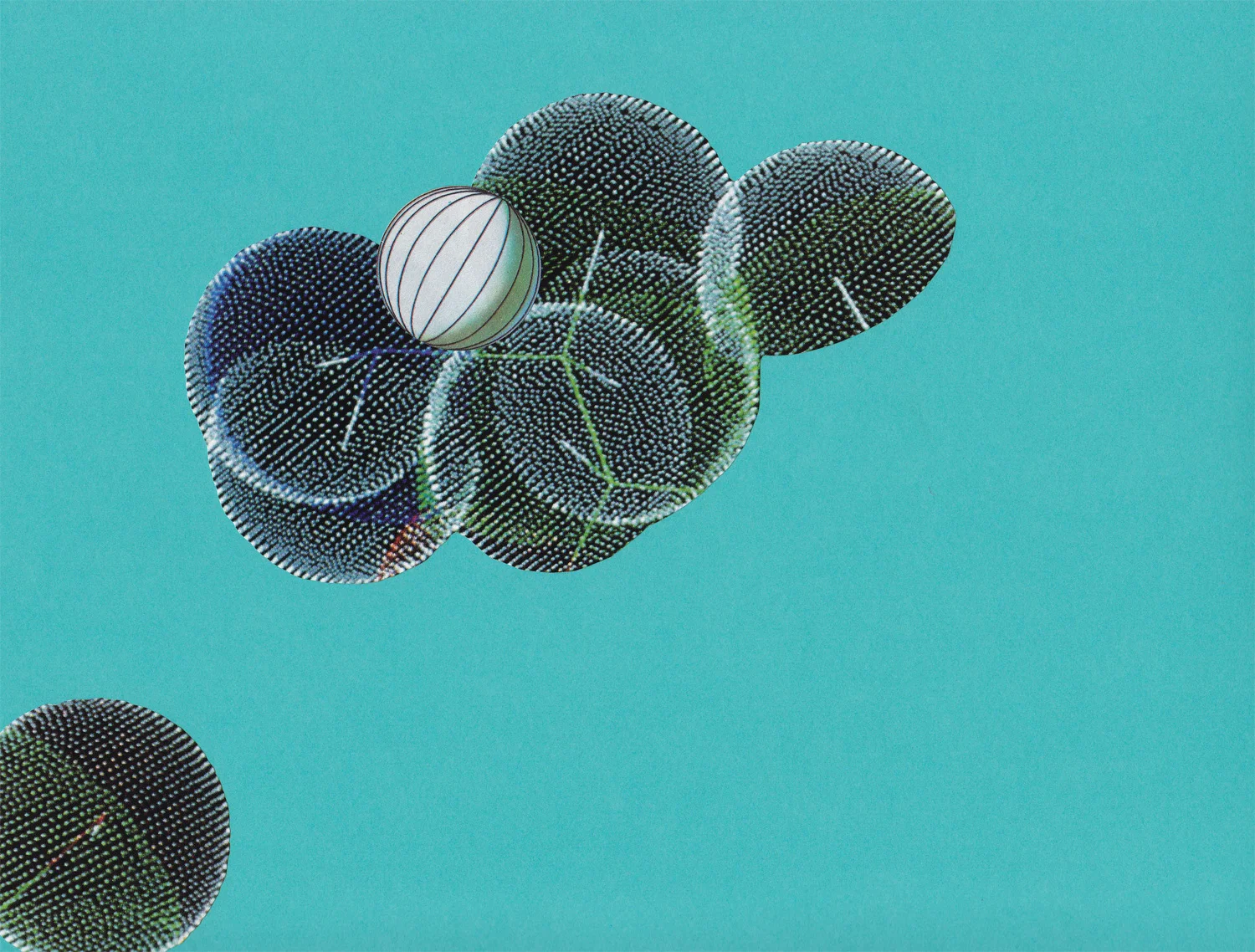 Paper Lure (Black/Blue Molecules on Light Turquoise), 2011. Collage on paper, 10 x 10 in.
