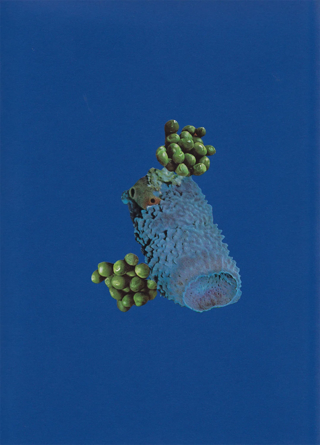 Paper Lure (Blue Sea Form and Peas on Deep Blue), 2011. Collage on paper, 12 x 12 in.