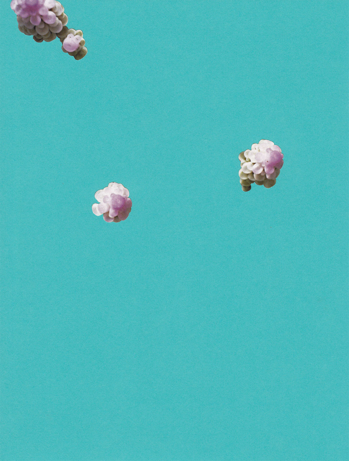 Paper Lures (Purple/White Buds on Light Turquoise), 2011. Collage on paper, 10 x 10 in.