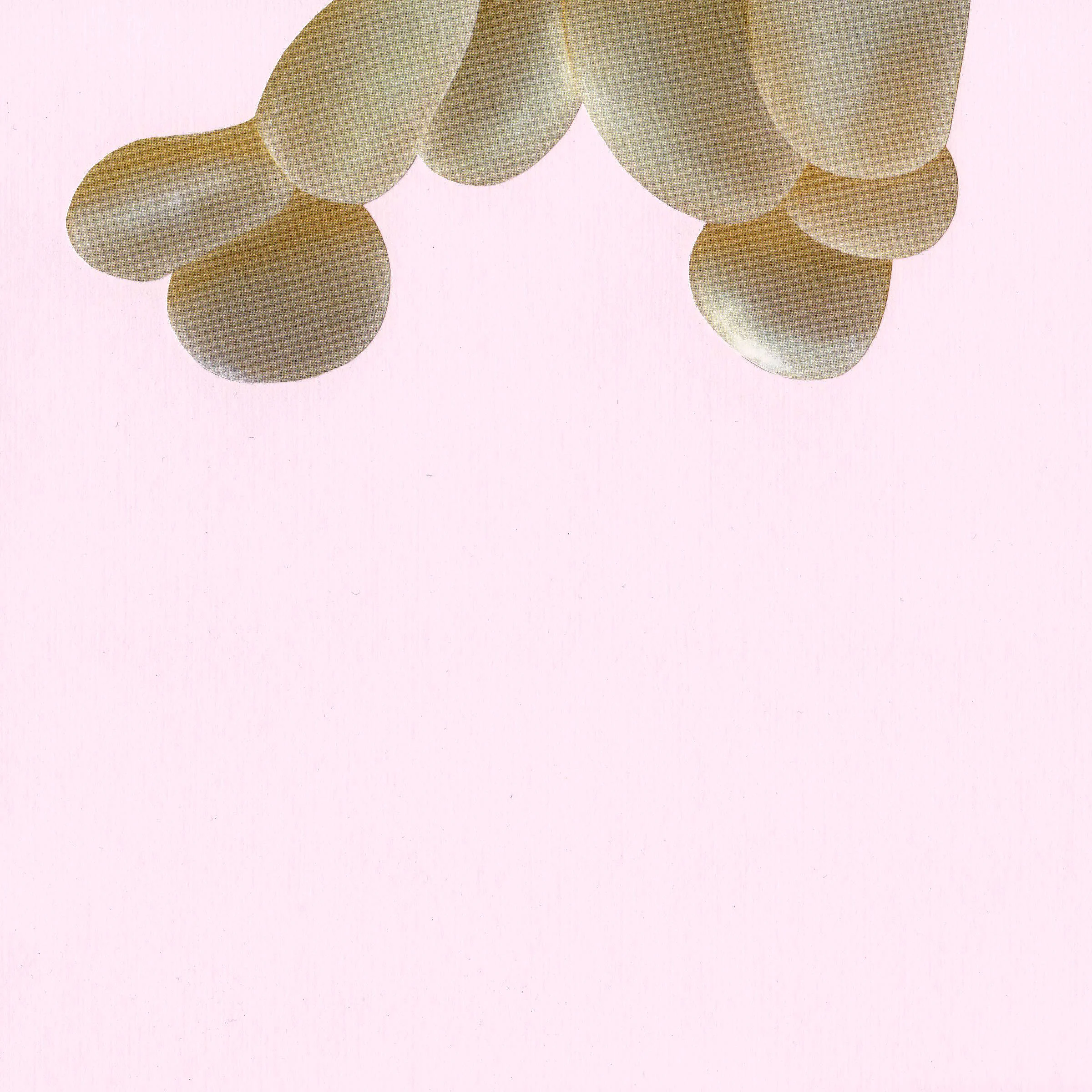 Paper Lure (Beige Sea Blobs on Light Pink), 2011. Collage on paper, 12 x 12 in.