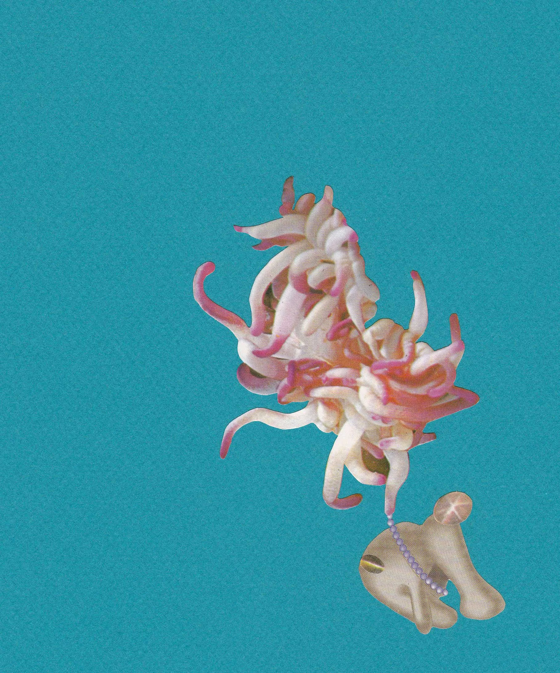 paper-lure,-pink-sparkle-on-turquoise-FOR-WEB.jpg