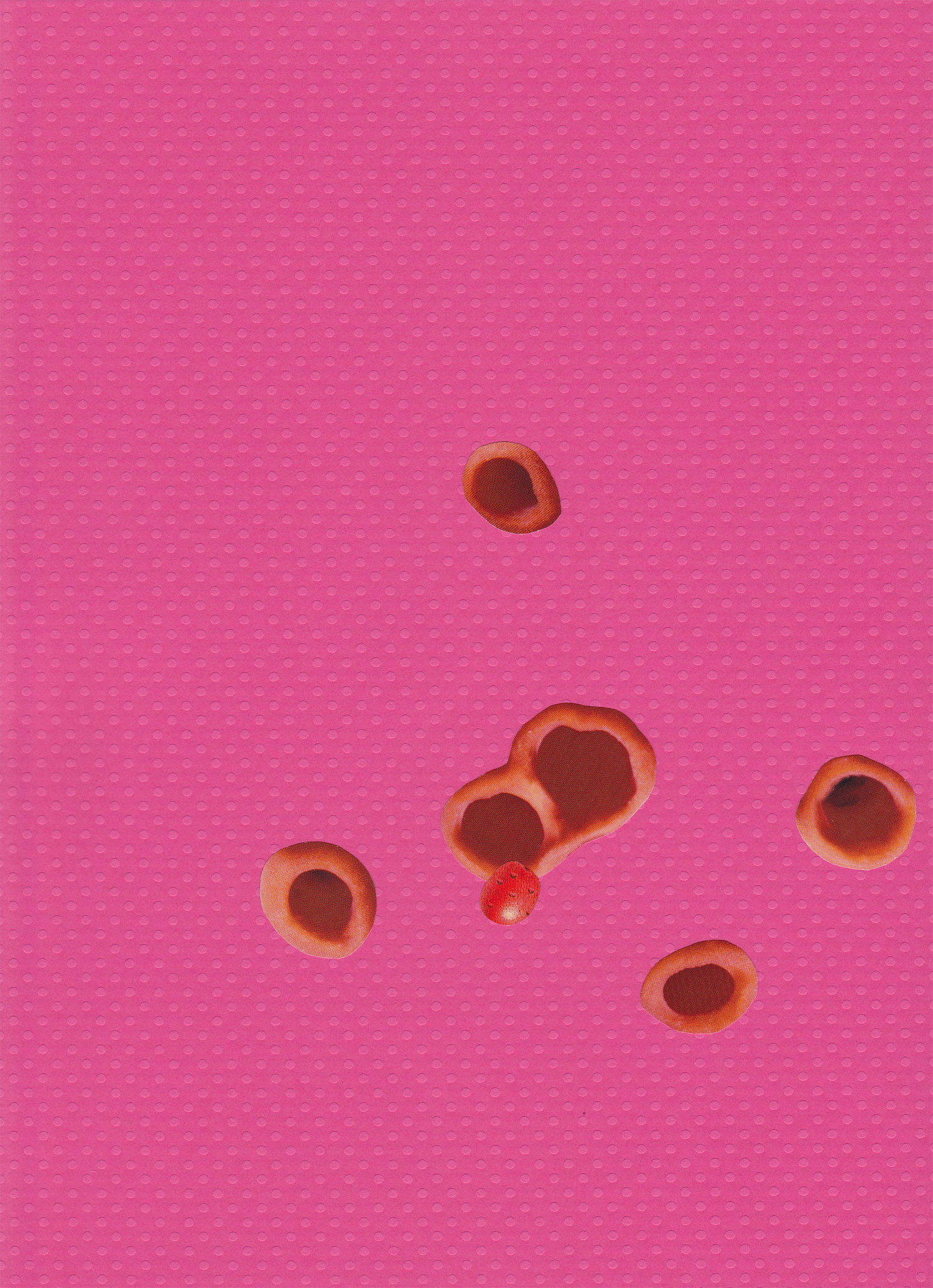 Paper Lure (Red Tube Openings on Pink Dots), 2011. Collage on paper, 10 x 8 in.
