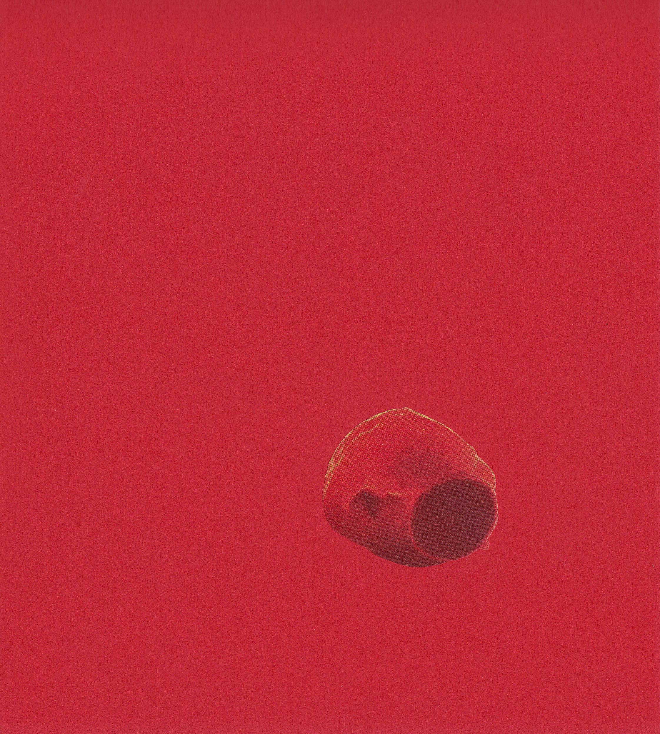 paper-lure,-red-red-for-web.jpg