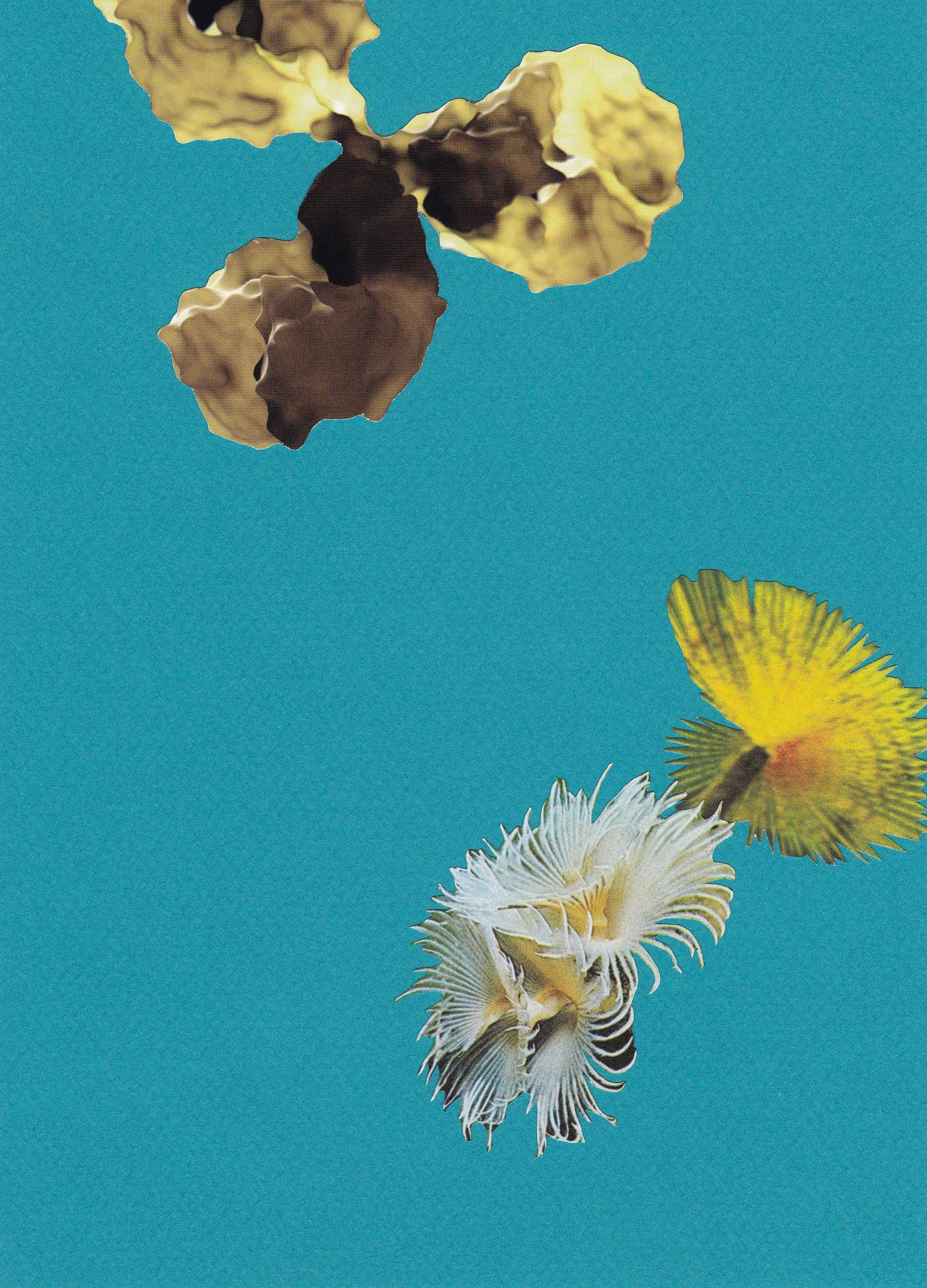Paper Lure (Yellow Sea), 2011. Collage on paper, mounted on panel, 8 x 5 in.