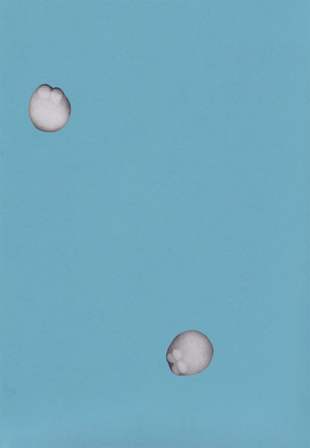 Paper Lure (White/Grey Cell Sphere Buds on Medium Blue), 2011. Collage on paper, 12 x 9 in.