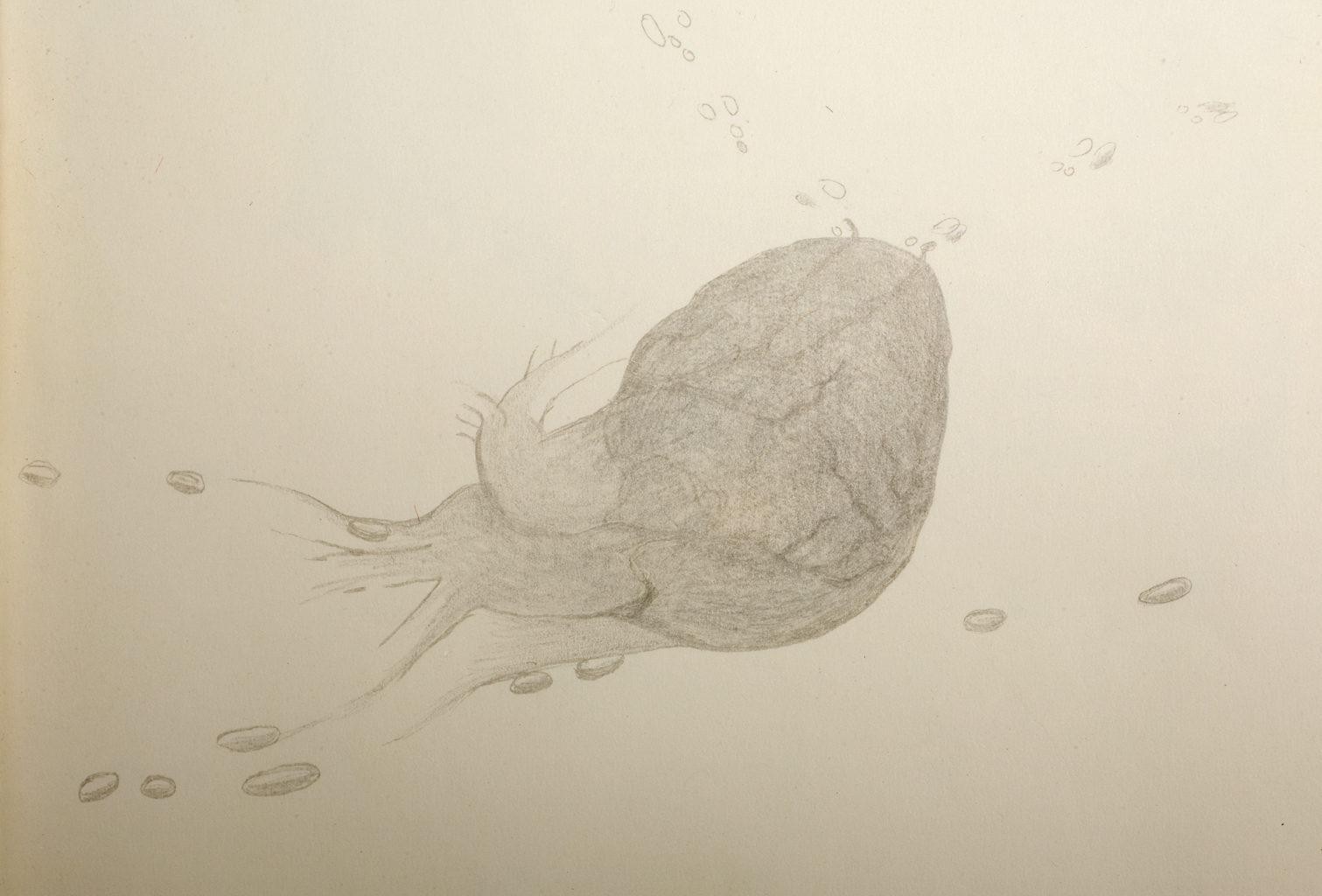 Heart-a-Track (detail), 2008. Silverpoint on paper, altered books, ribbon.