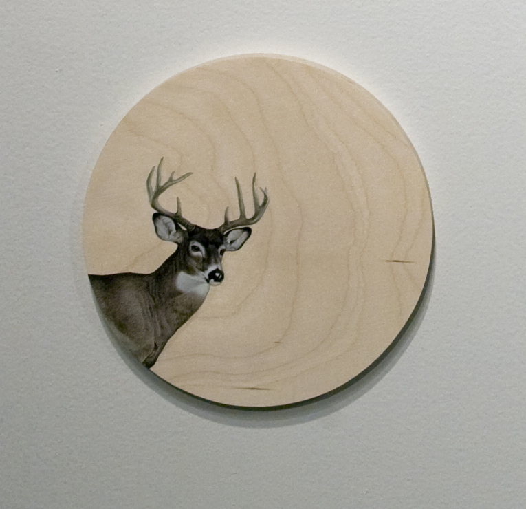 Now I’ve Got You in My Sights (detail), 2008. Collage on wood, dimensions variable.