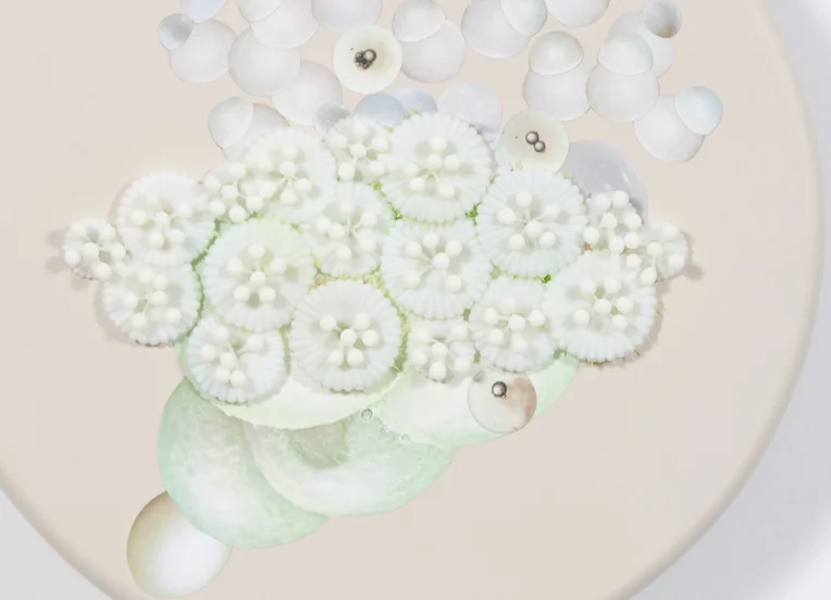 Untitled Lure (White detail), 2009.