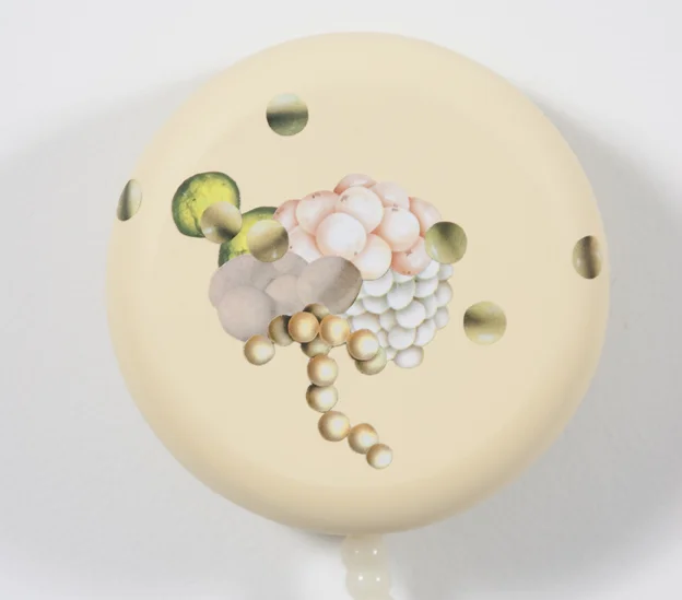 Untitled Lure (Yellow, with Cord detail), 2009.