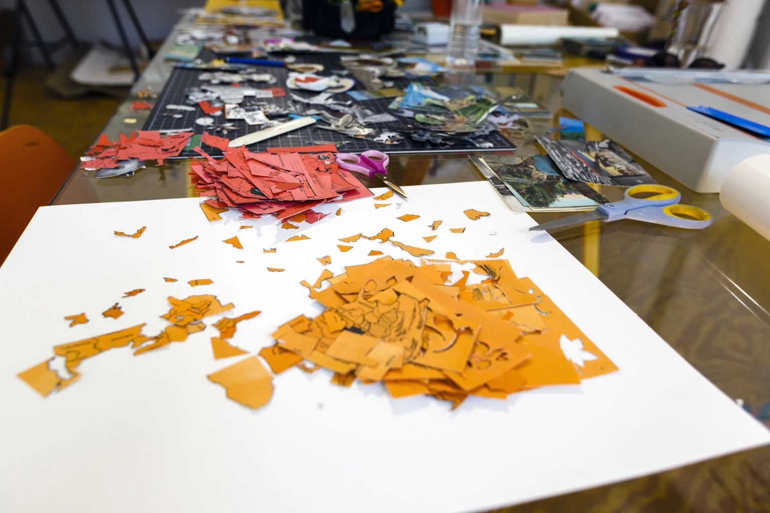 Studio-2014-cuttings-FOR_WEB.jpg
