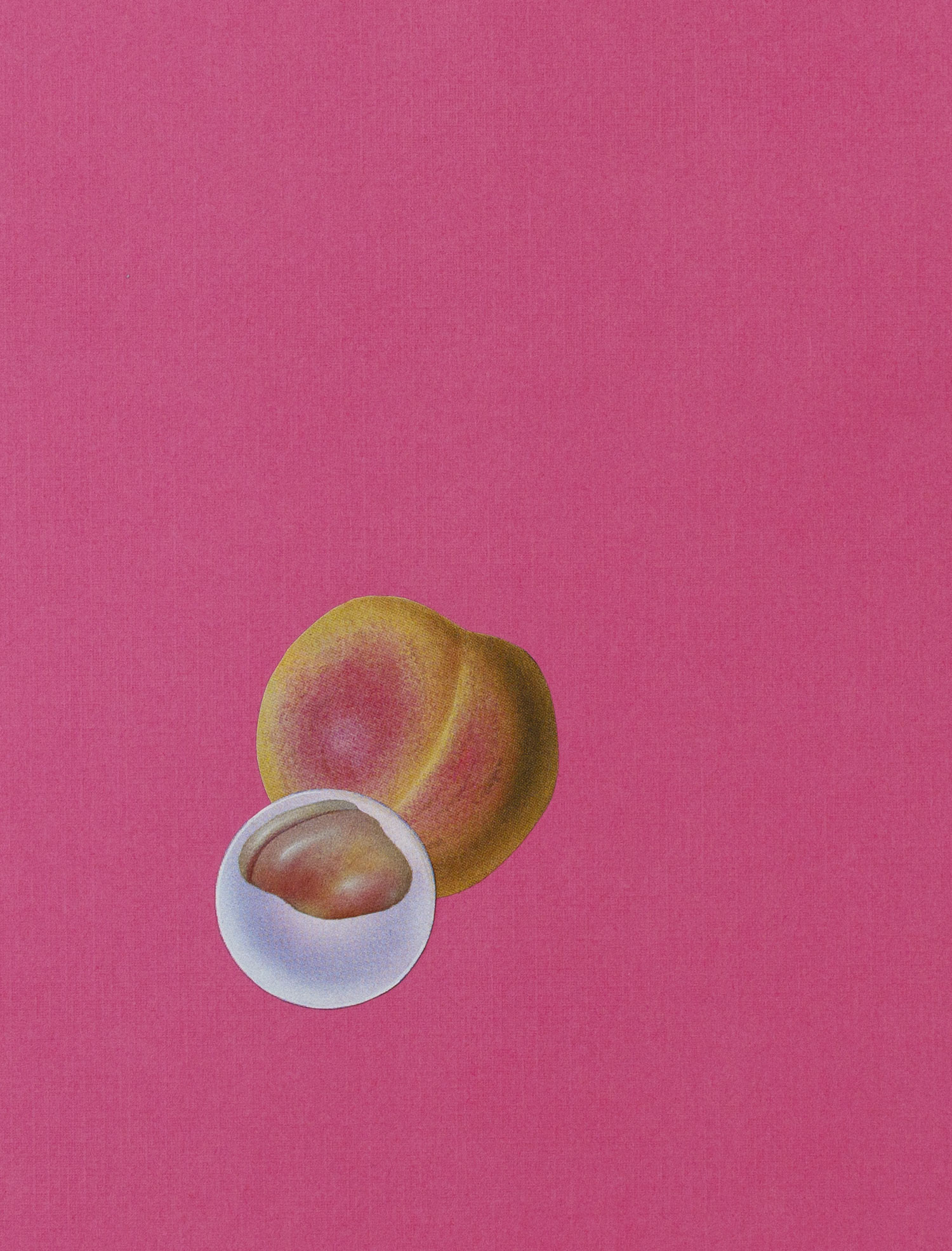 paper-lure-orange-and-white-blobs-on-hot-pink-2015-FOR-WEB.jpg