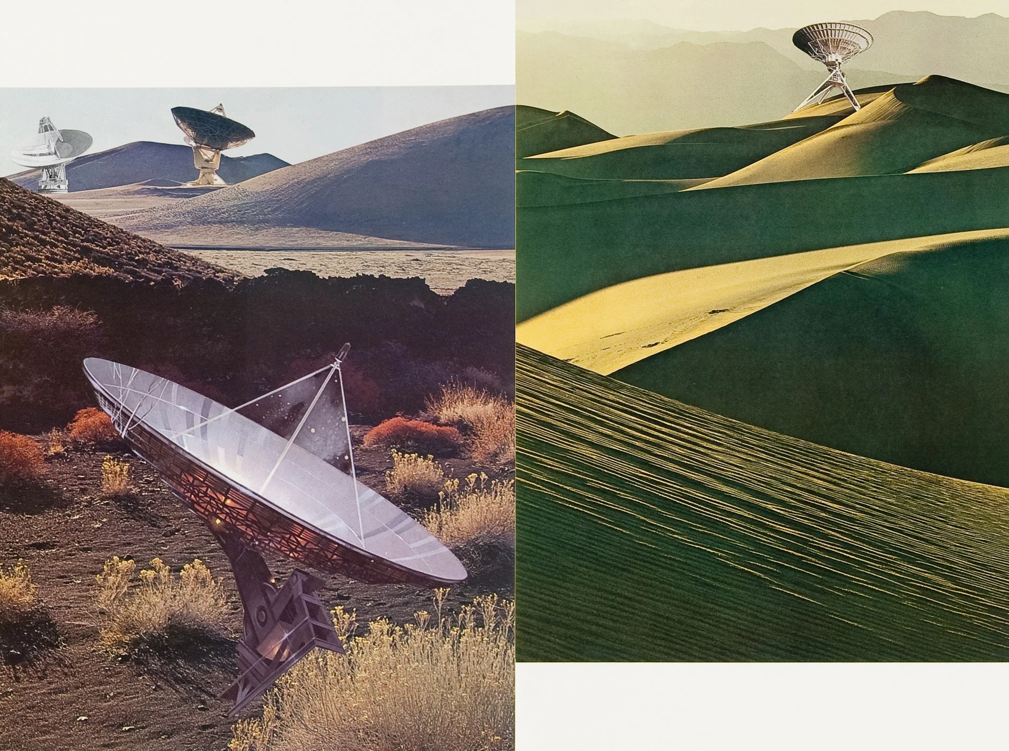 dunes-and-dishes-detail-1-FOR-WEB.jpg