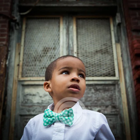 Bow & Arrow  |  2014