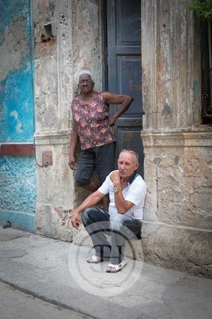 Hardly Amused | 2017