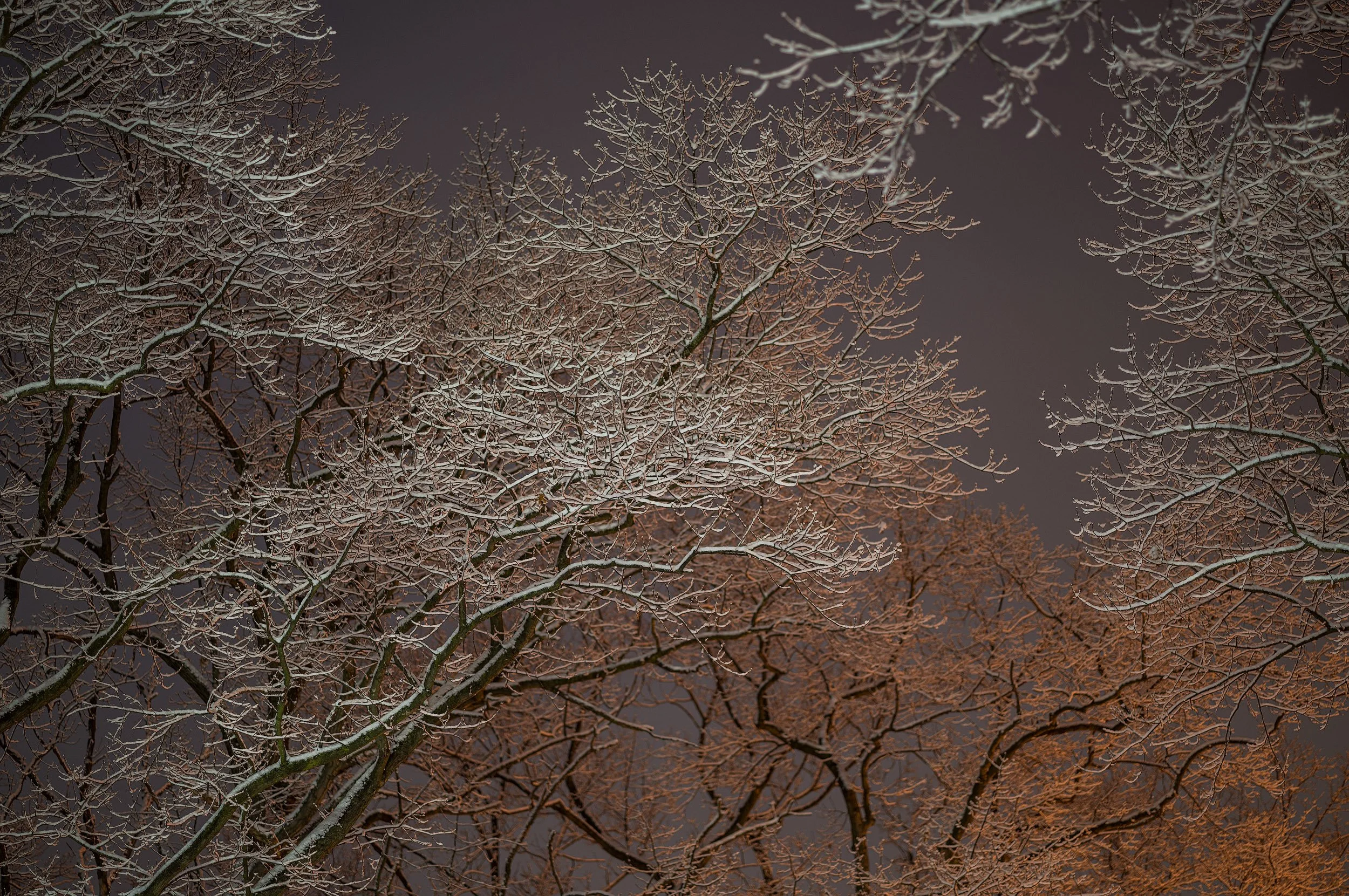 Allurement Soft-05.jpg