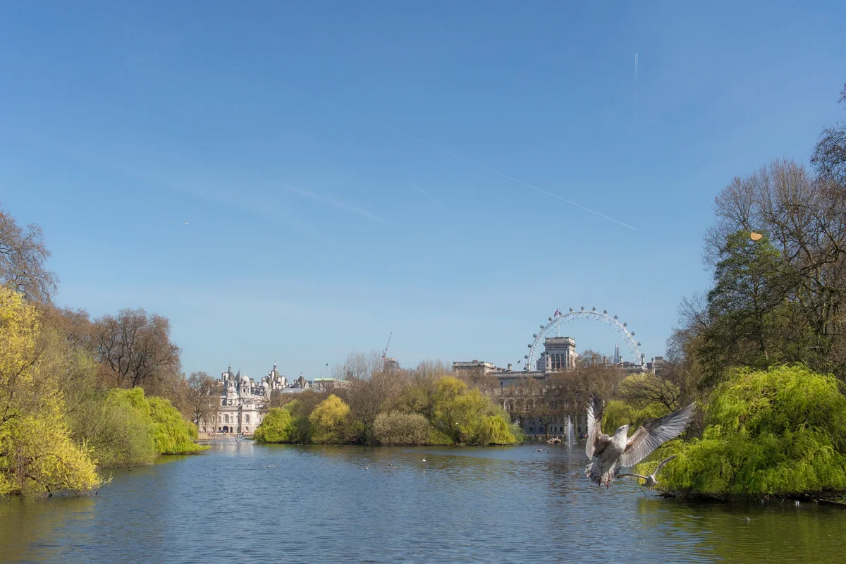St James's & Knightsbridge