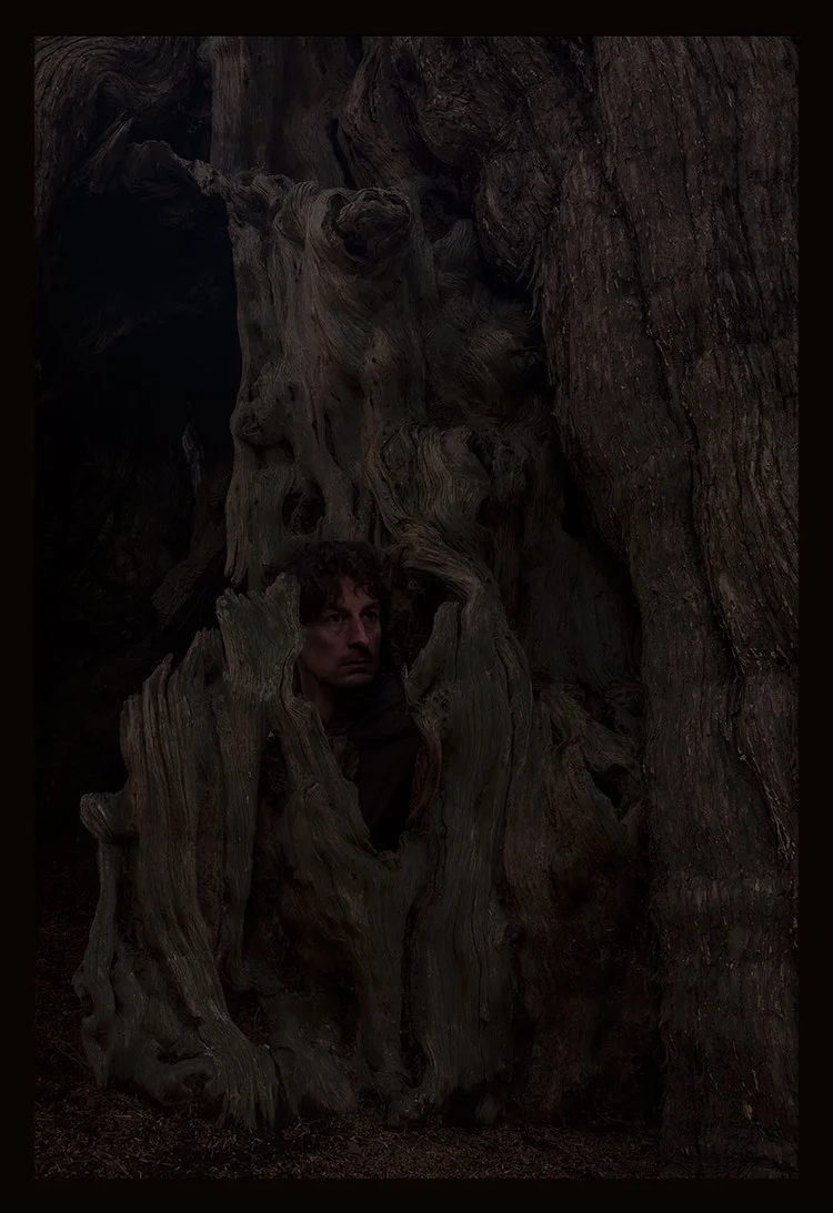 Self Portrait within Yew