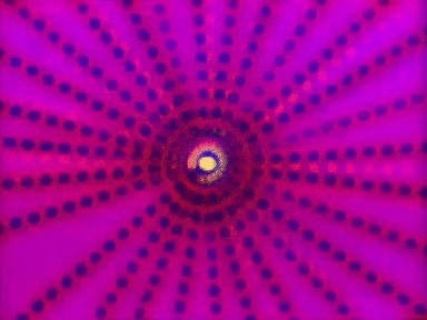 tumblr_n4h4cegqLY1tyxb0do1_400.gif