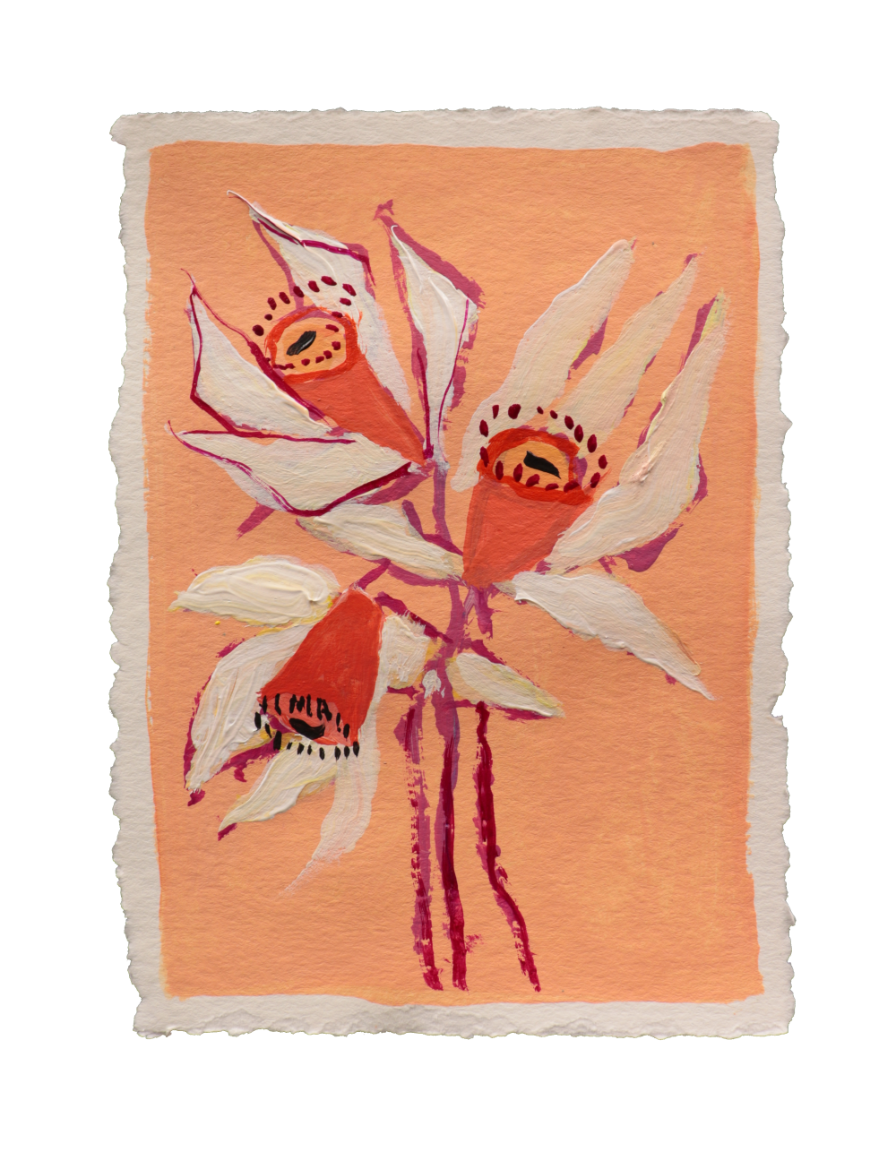 "White Daffodils"