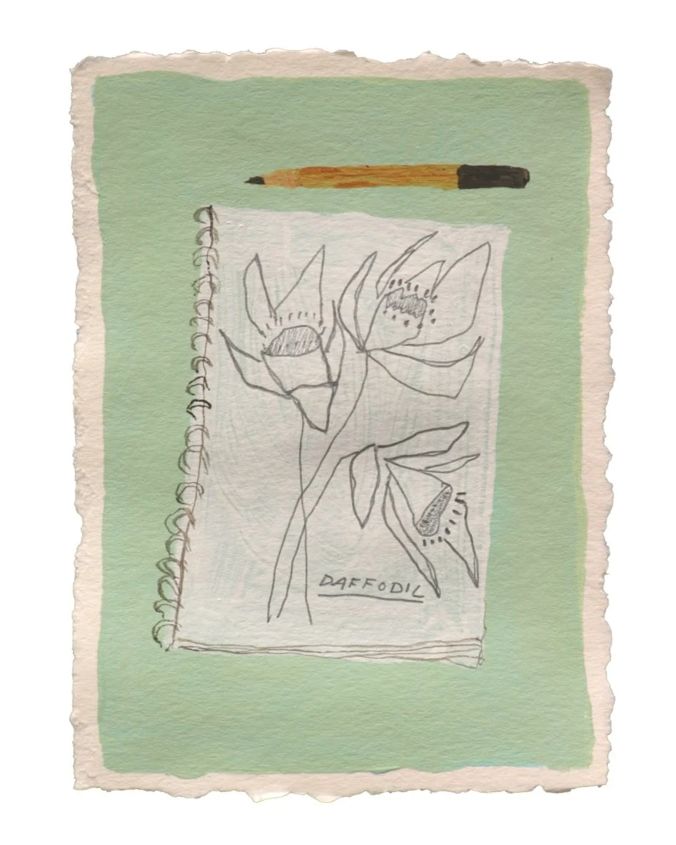 "Daffodil Sketch"