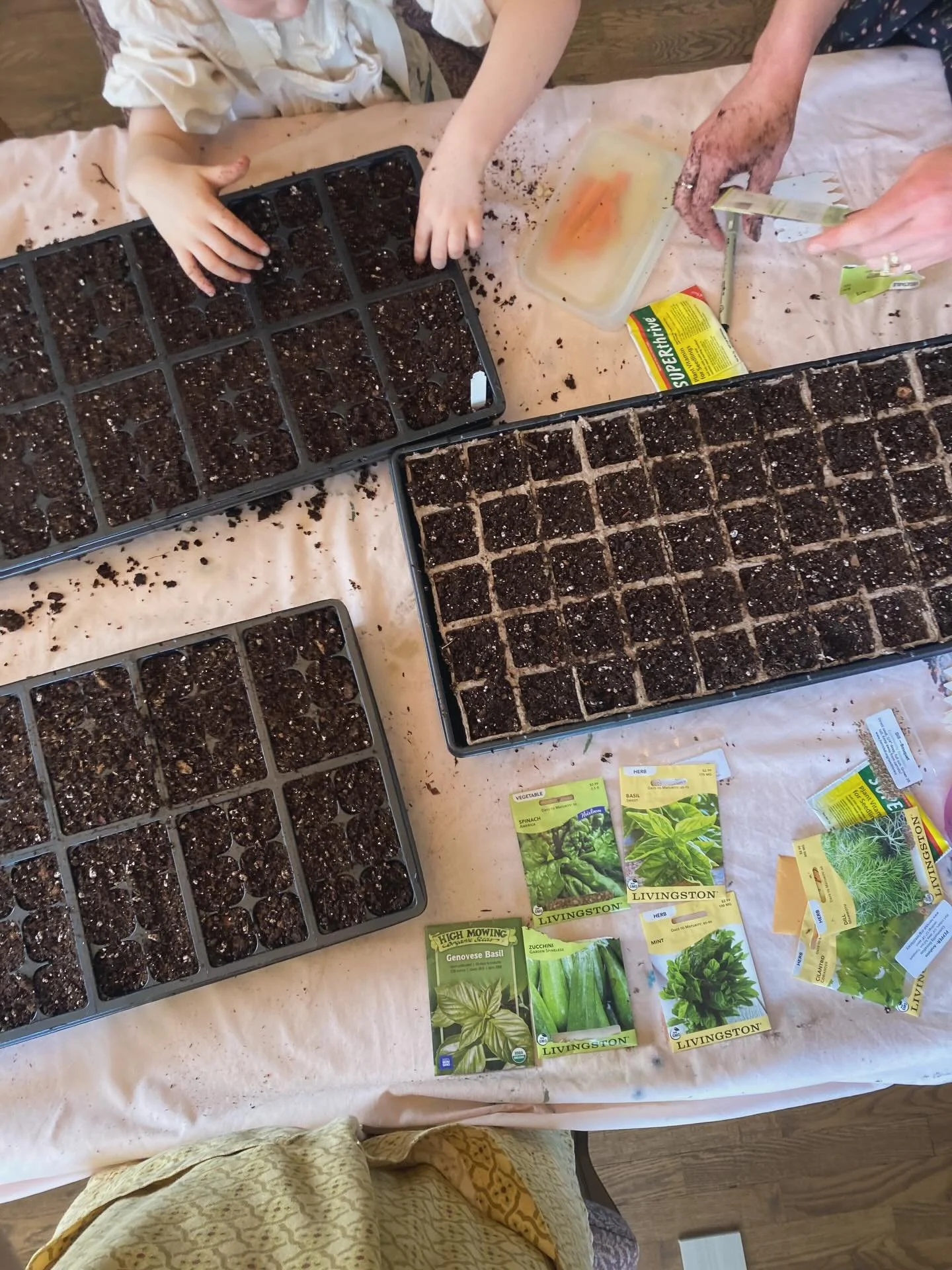 First time trying my hand at starting seeds indoors 🌱