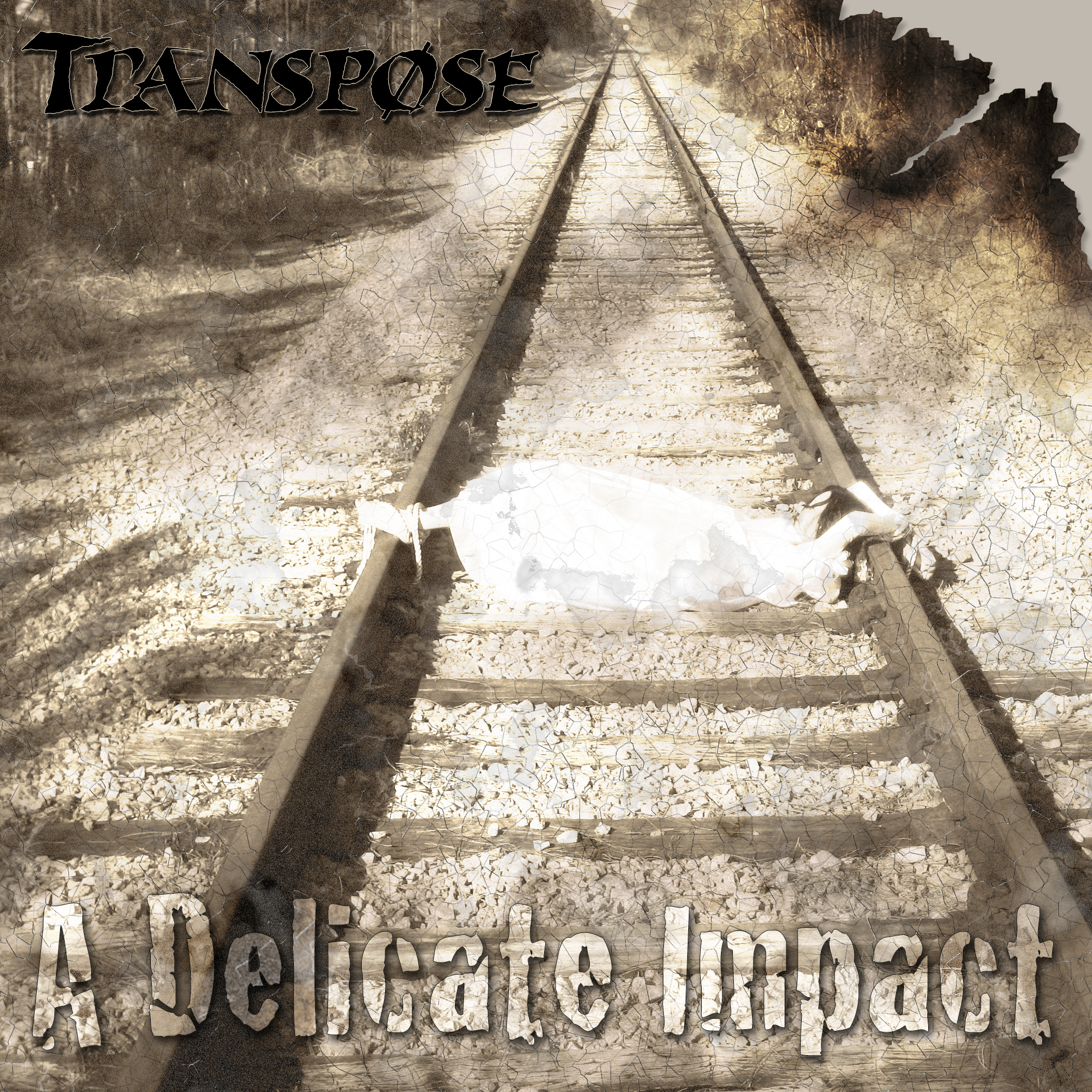 Transpose - A Delicate Impact.jpg