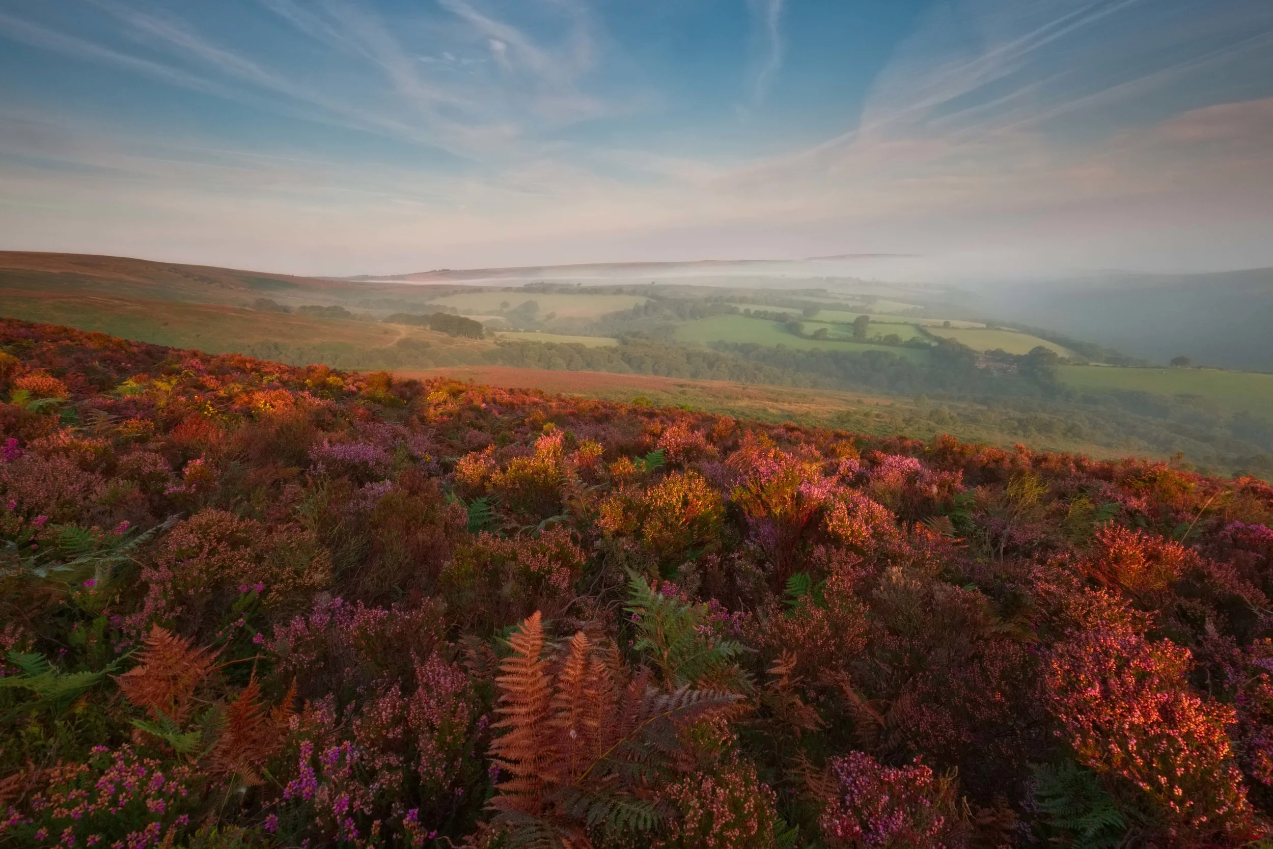 Sun breaking through the morning mist. Exmoor. Fujifilm X-T1 + 10-24mm @ 13.2mm. f/22. 1/8.