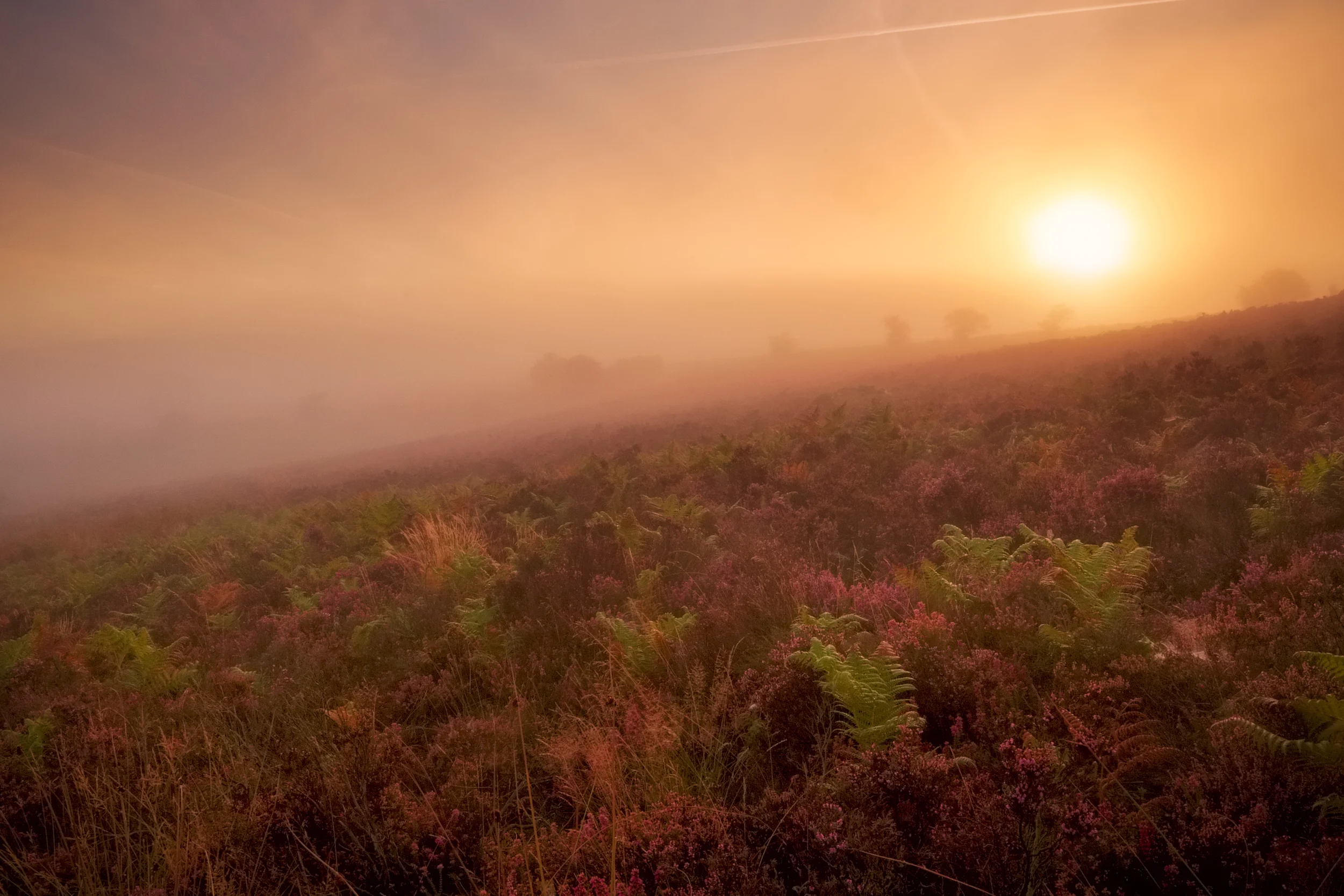 Diffused mist on the hills of Exmoor at sunrise. Fujifilm X-T1 + 10-24mm @ 15.9mm. f/22. 1/40.