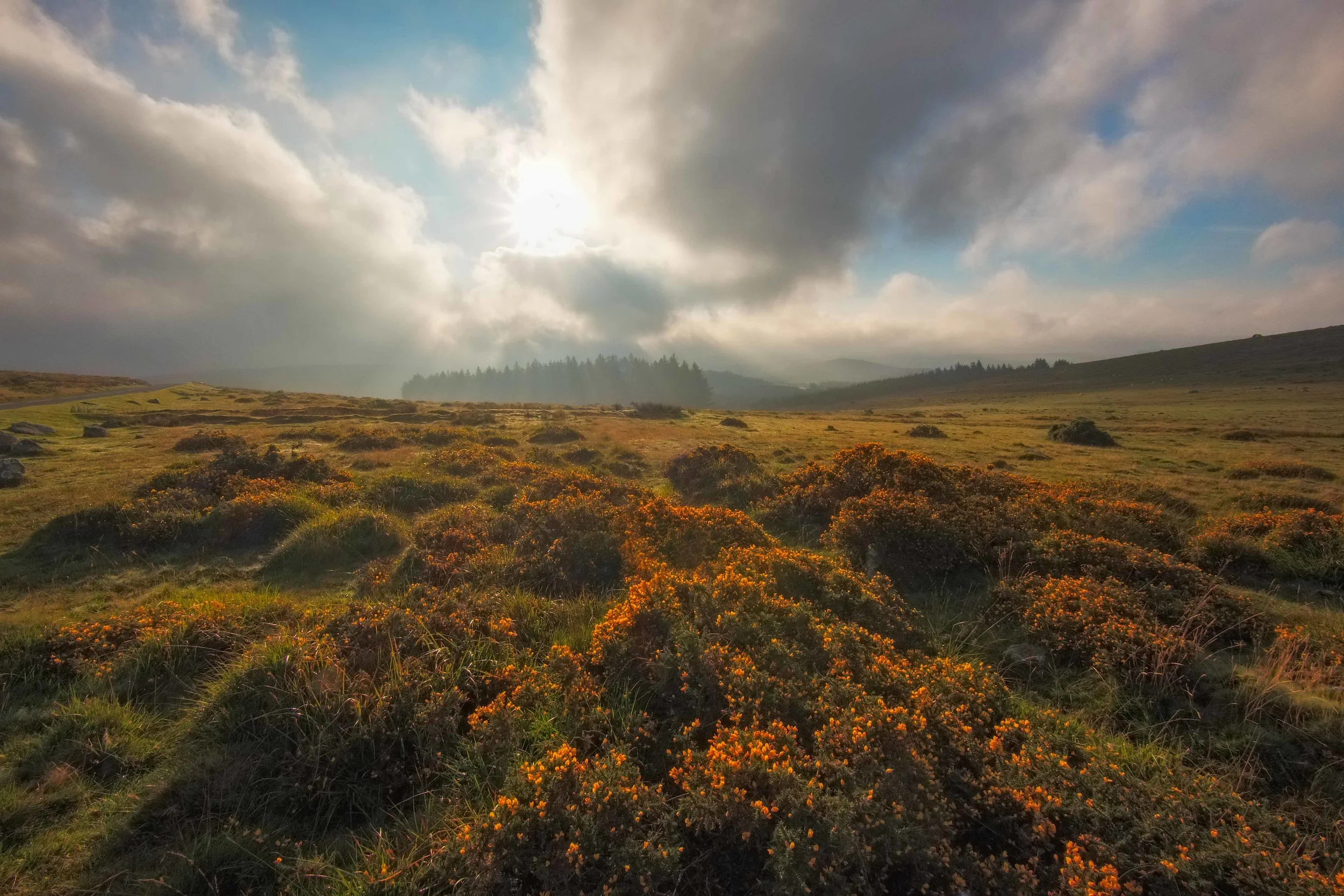 Mist and light across Dartmoor. Fujifilm X-T1 + 10-24mm @ 10mm. f/18. 1/320.