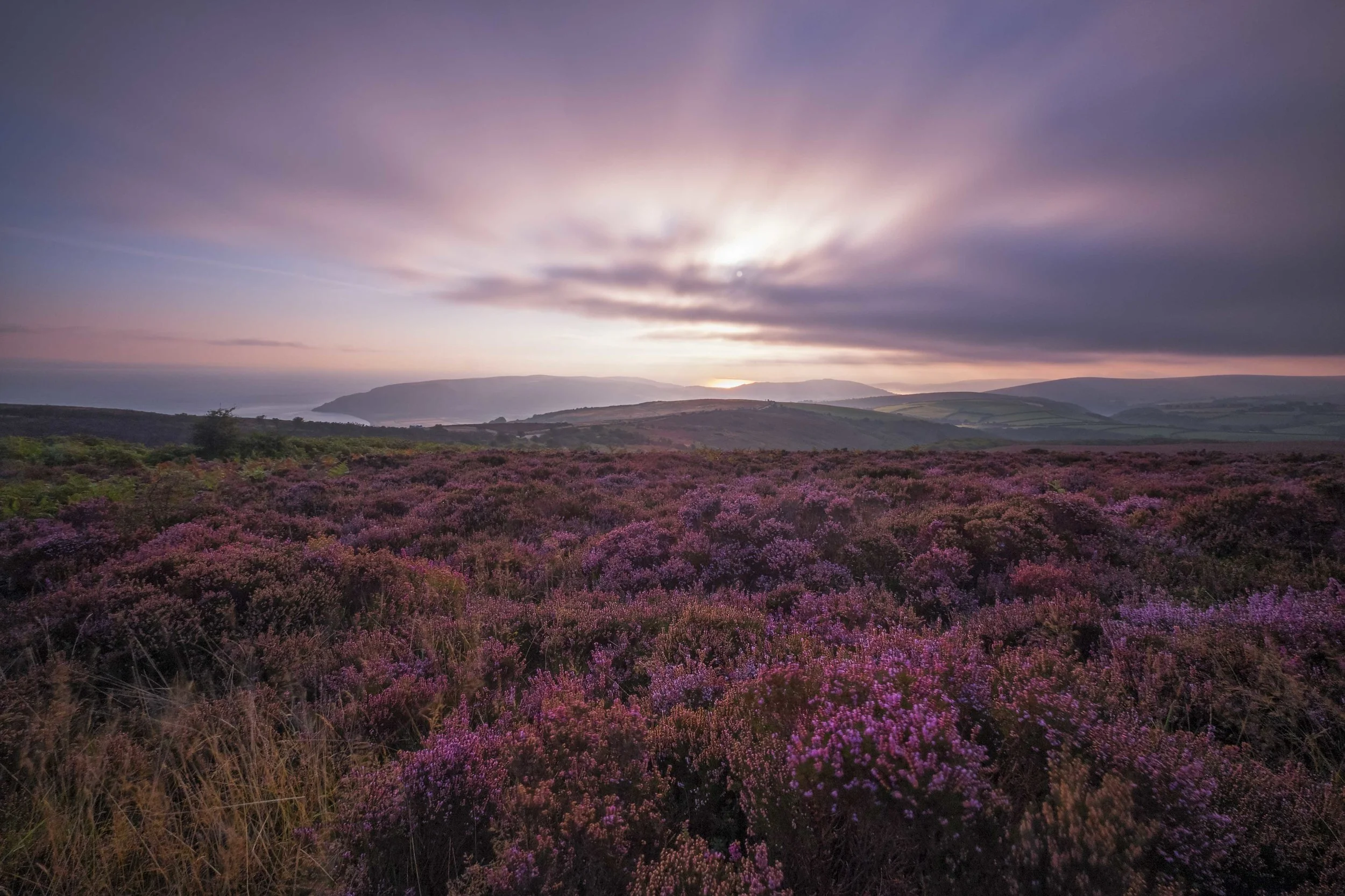 "Purple Haze" - Exmoor, Devon, England Fujifilm X-T1 + 10-24mm f/4 OIS @ f/10. 20 Seconds.